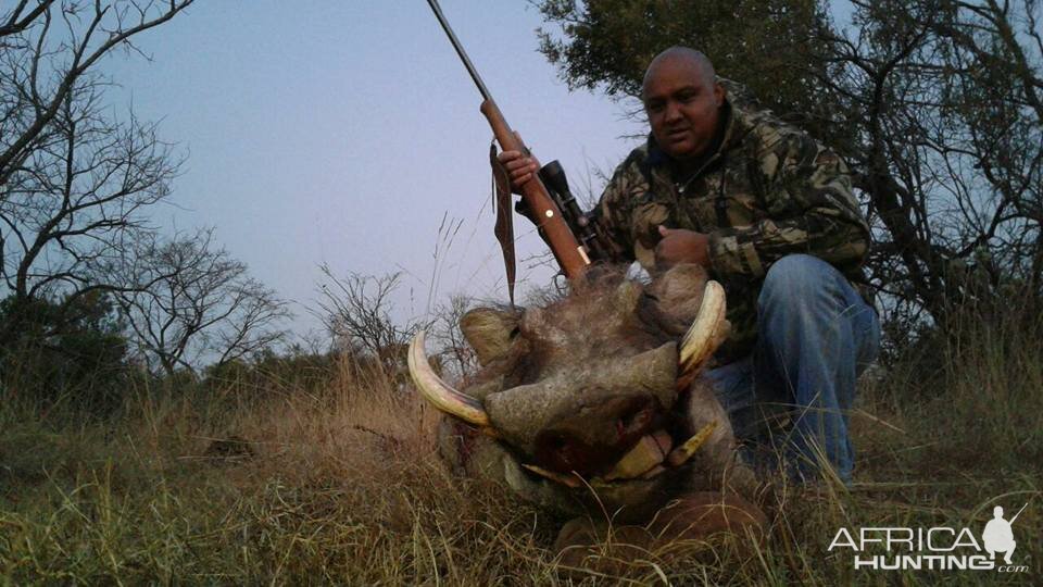 South Africa Warthog Hunt