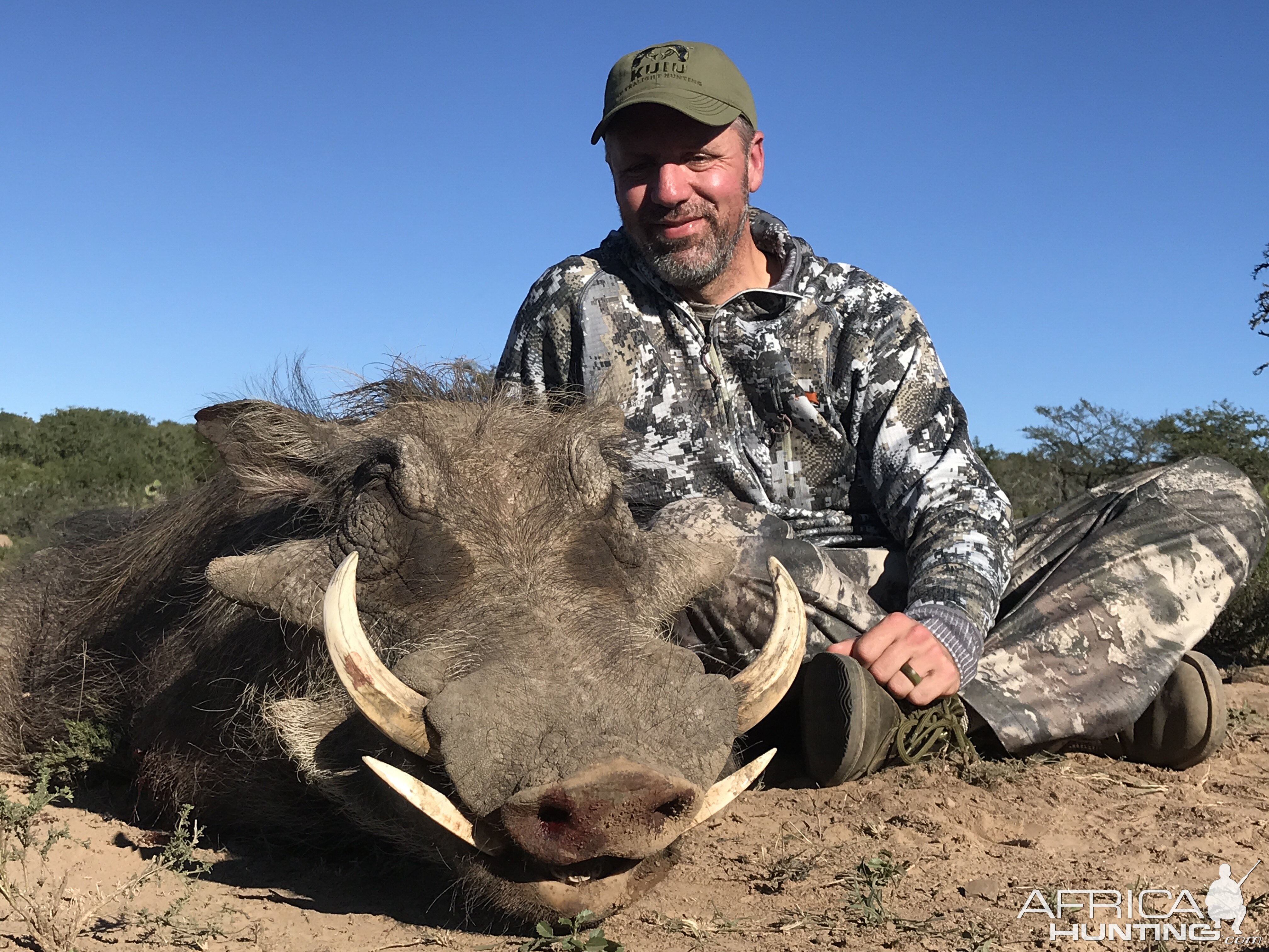 South Africa Warthog Hunt