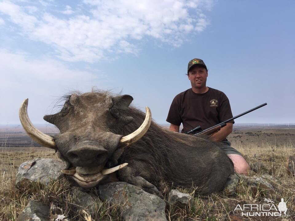 South Africa Warthog Hunt