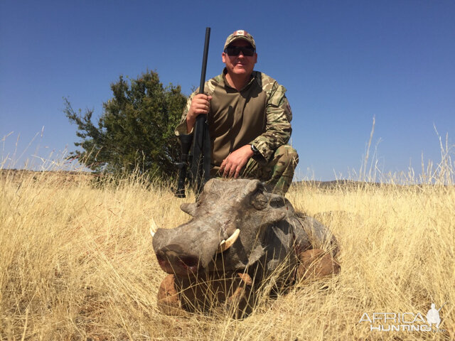 South Africa Warthog Hunt