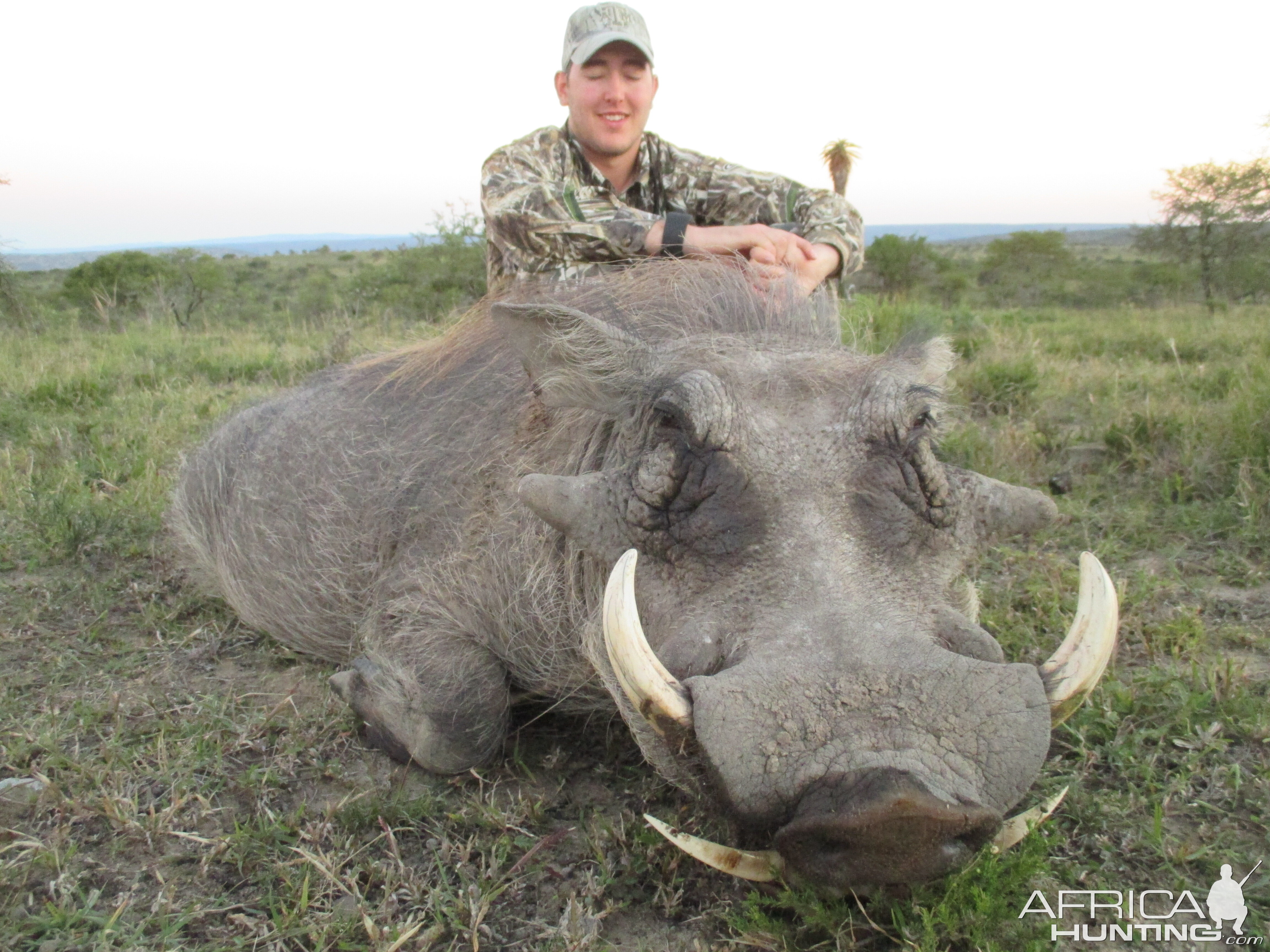 South Africa Warthog Hunt