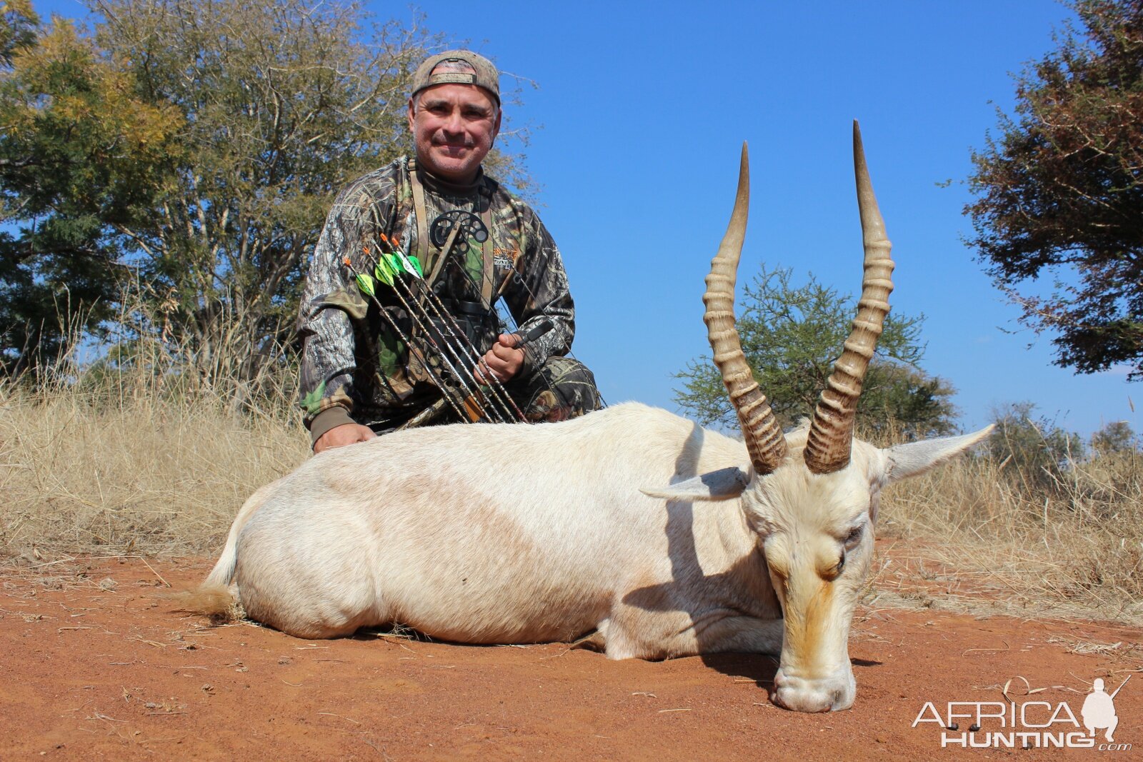 South Africa White Blesbok Bow Hunt