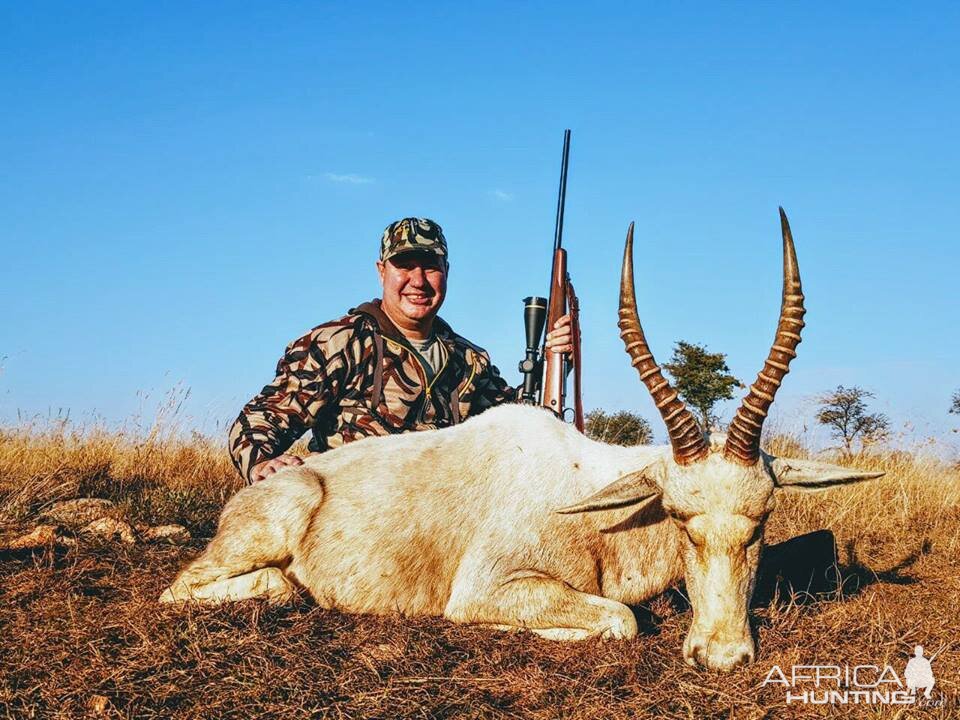 South Africa White Blesbok Hunt