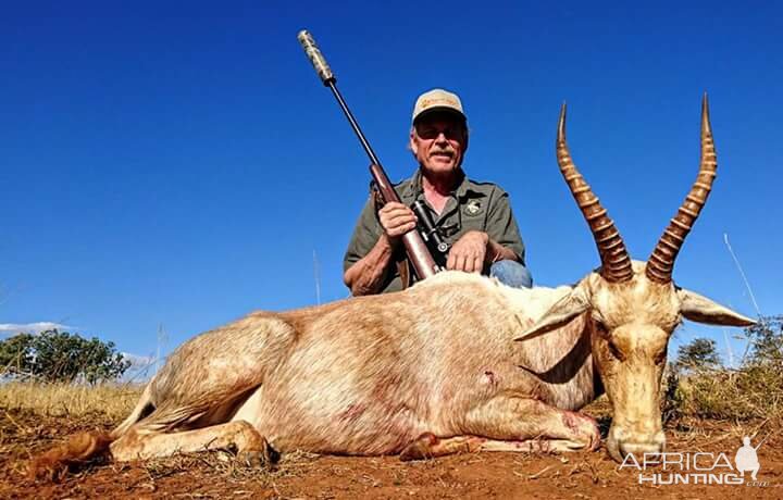 South Africa White Blesbok Hunt