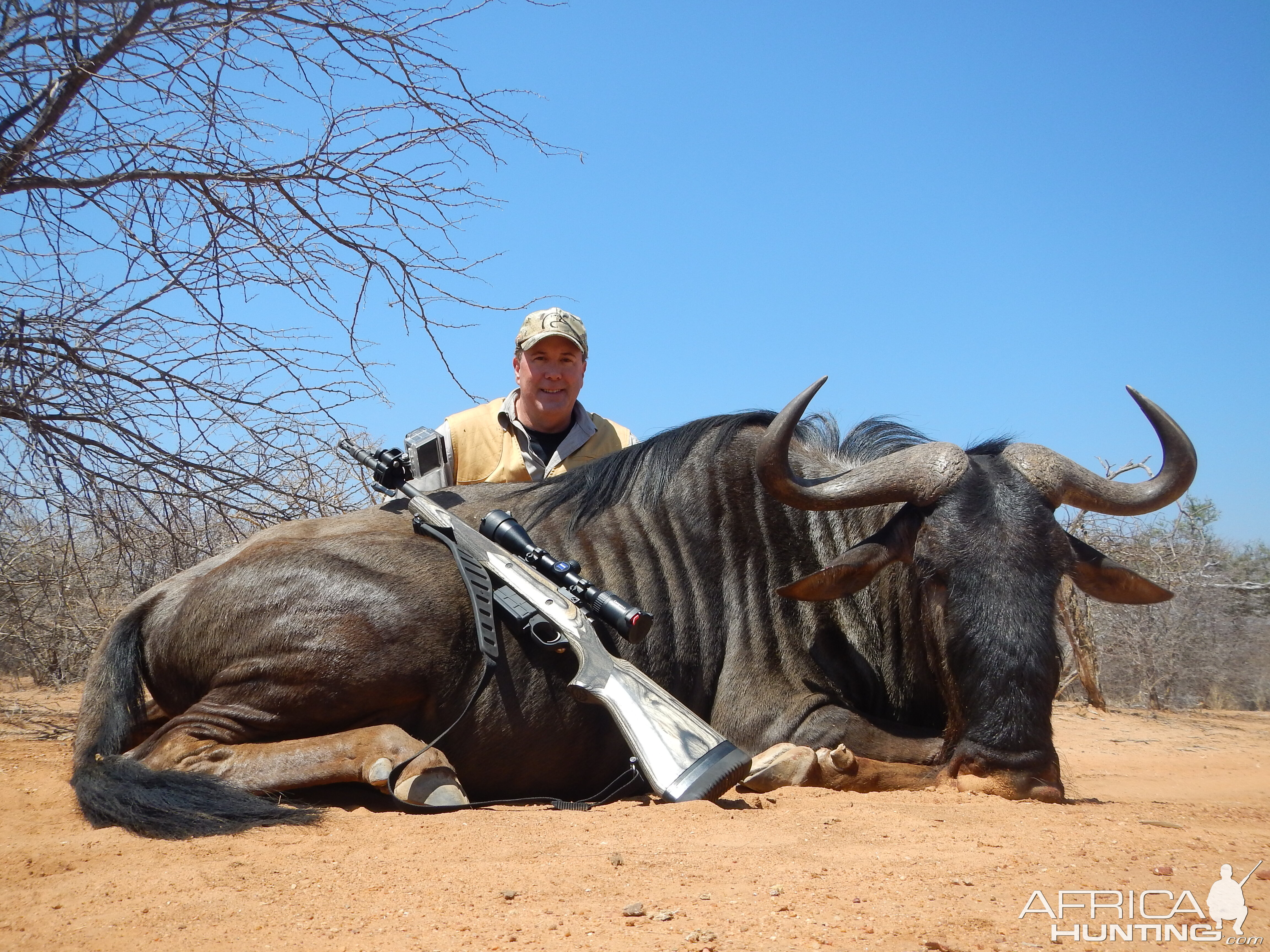 South Africa Width +28" Blue Wildebeest Hunting