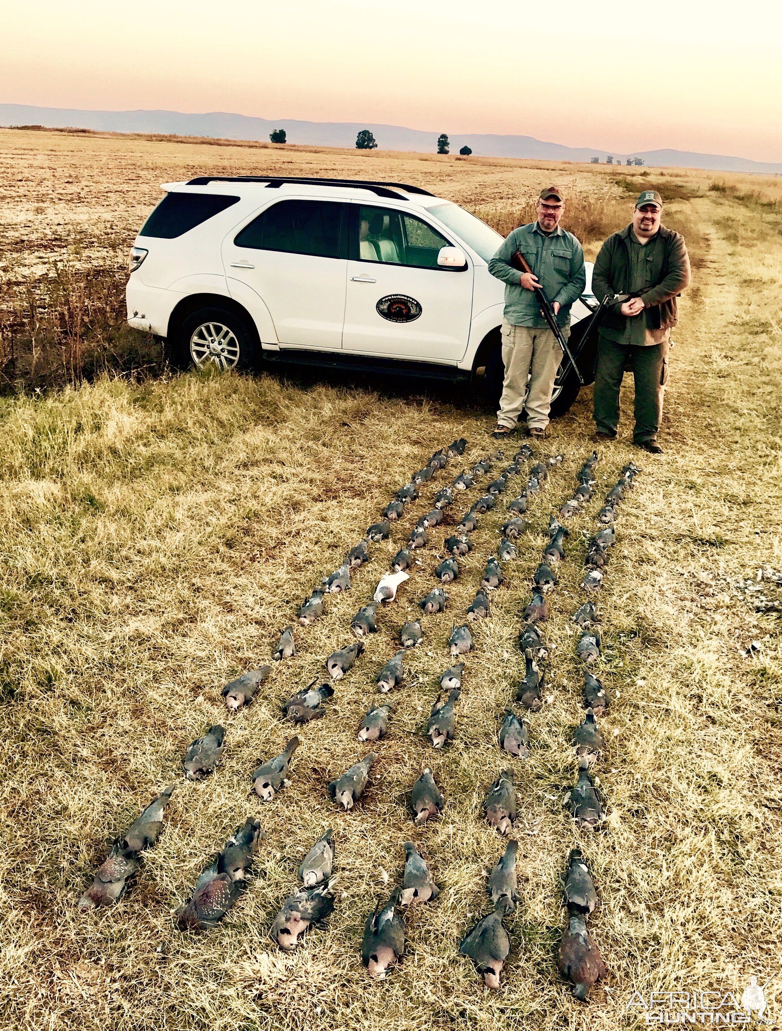 South Africa Wing Shooting Doves