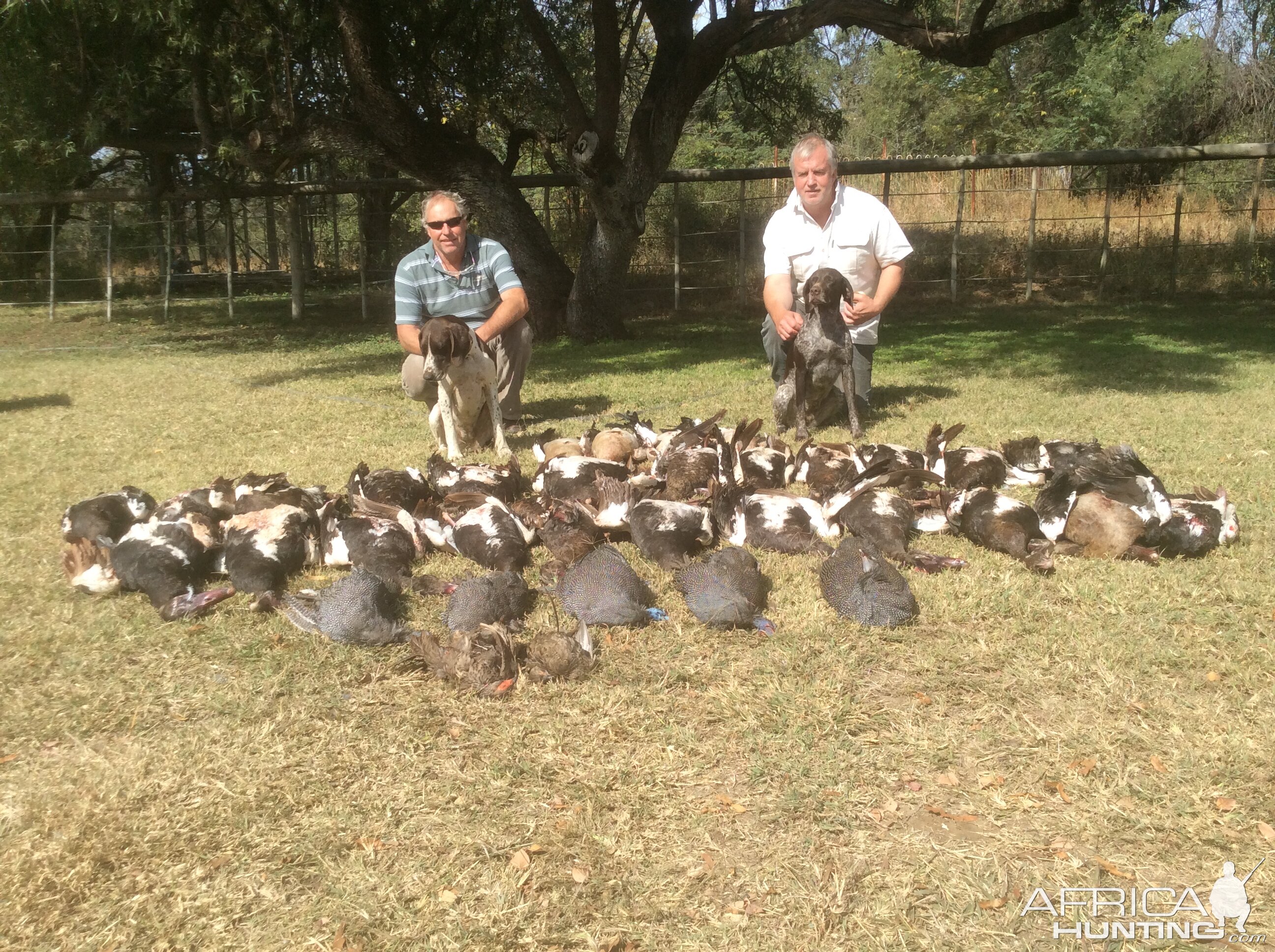 South Africa Wing Shooting