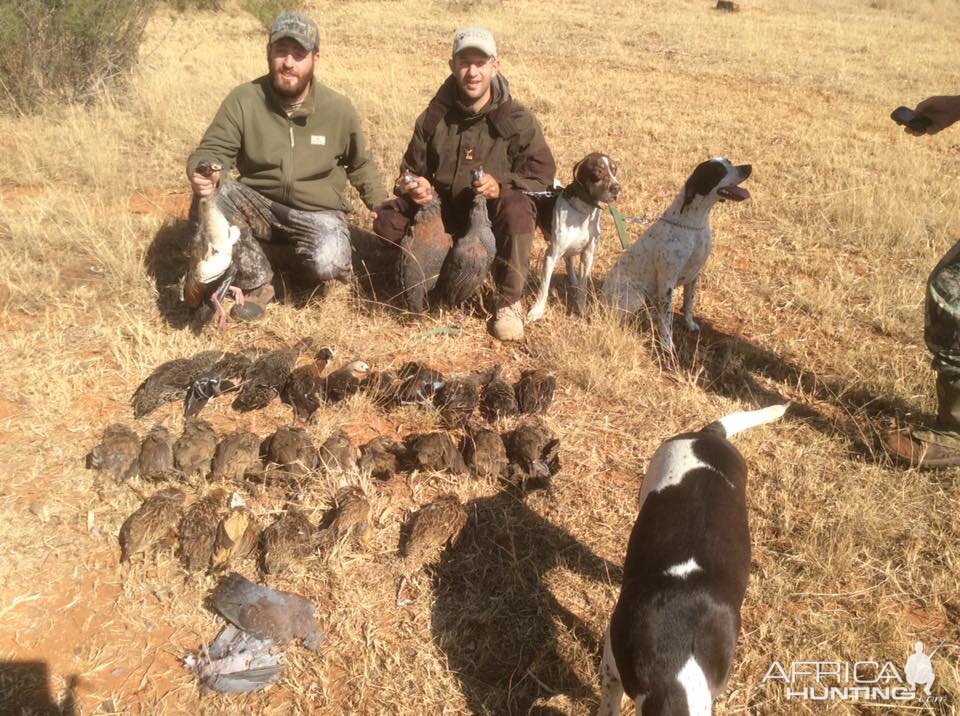 South Africa WIng Shooting