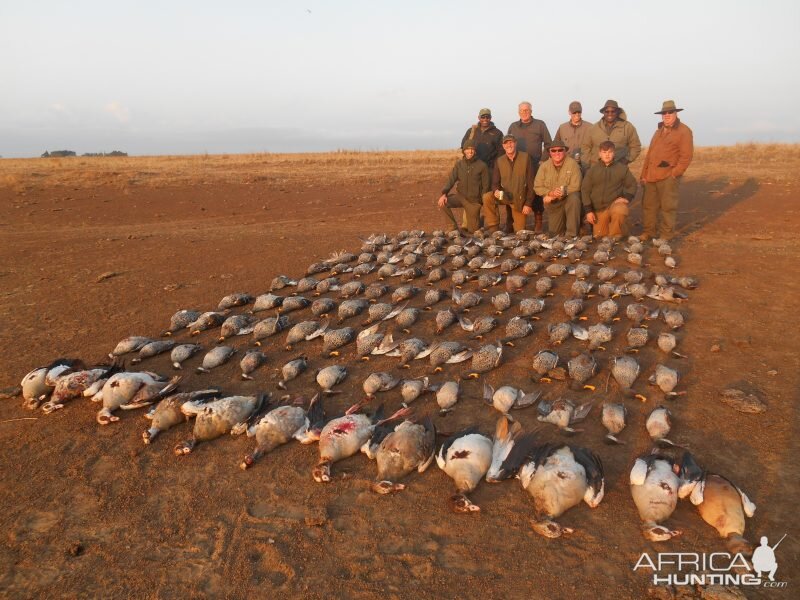 South Africa Wing Shooting