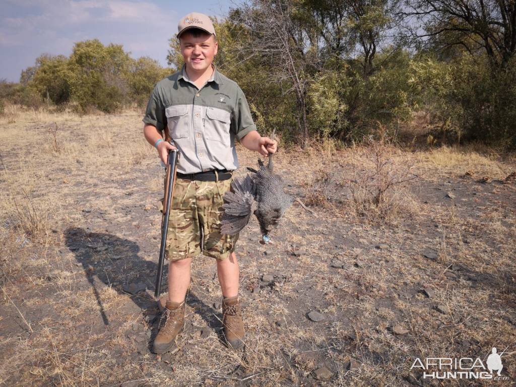 South Africa Wingshooting Guineafowl