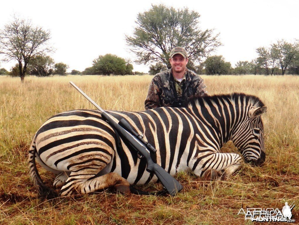 South Africa Zebra