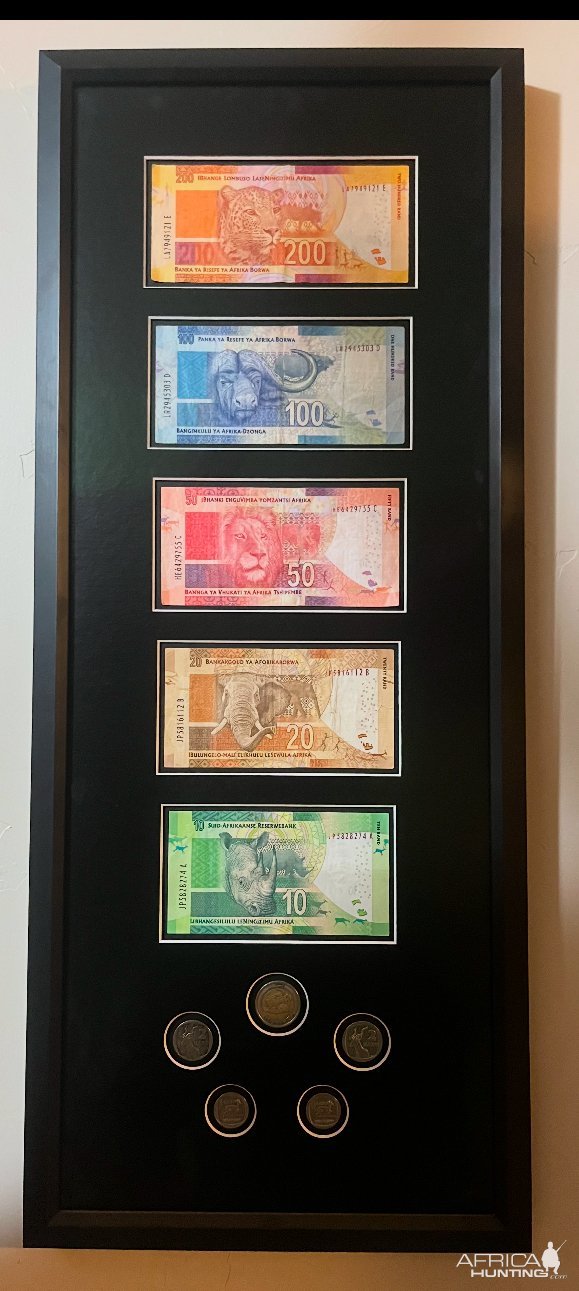 South African Big 5 Currency