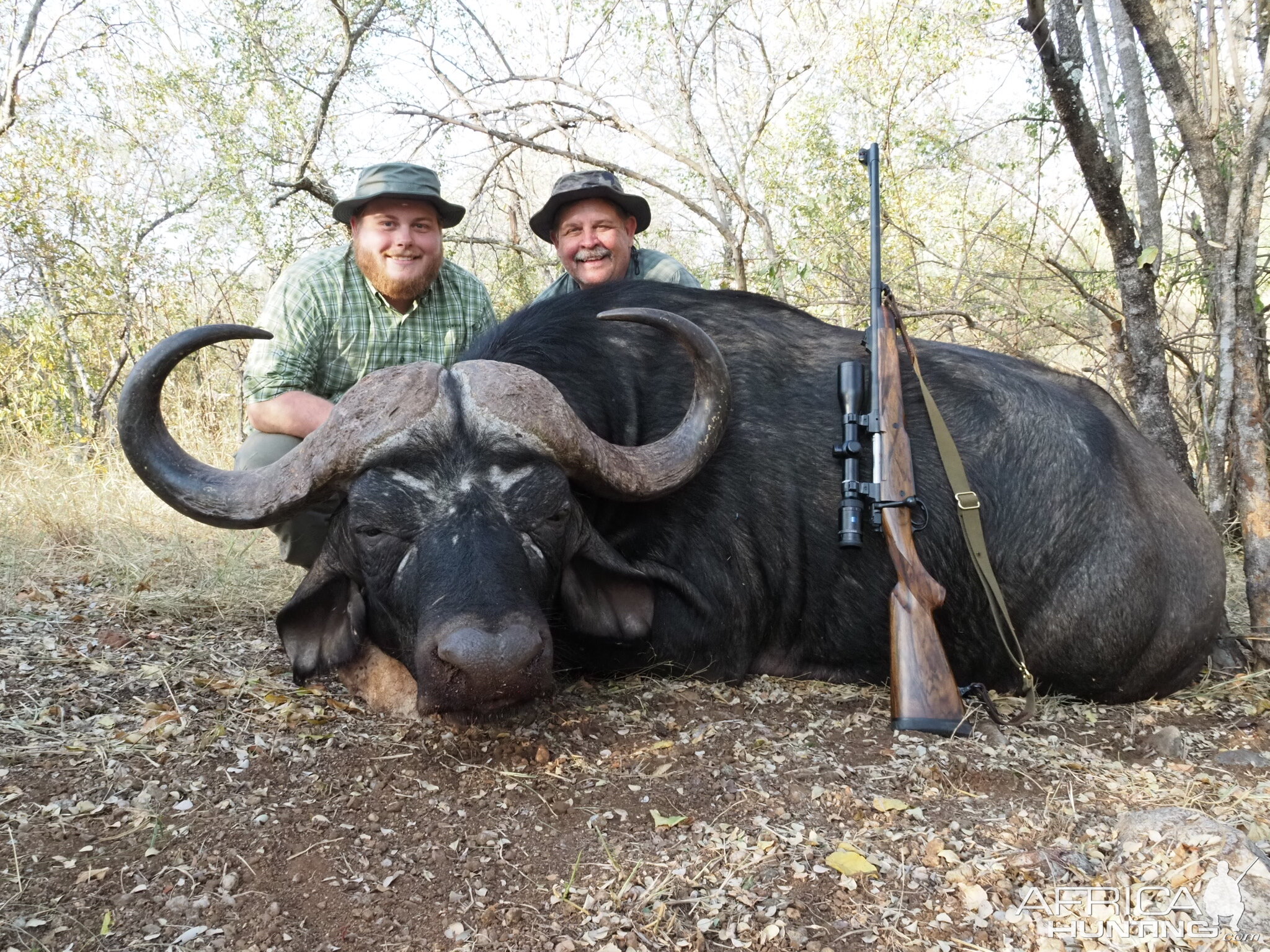 South African Buffalo Hunt