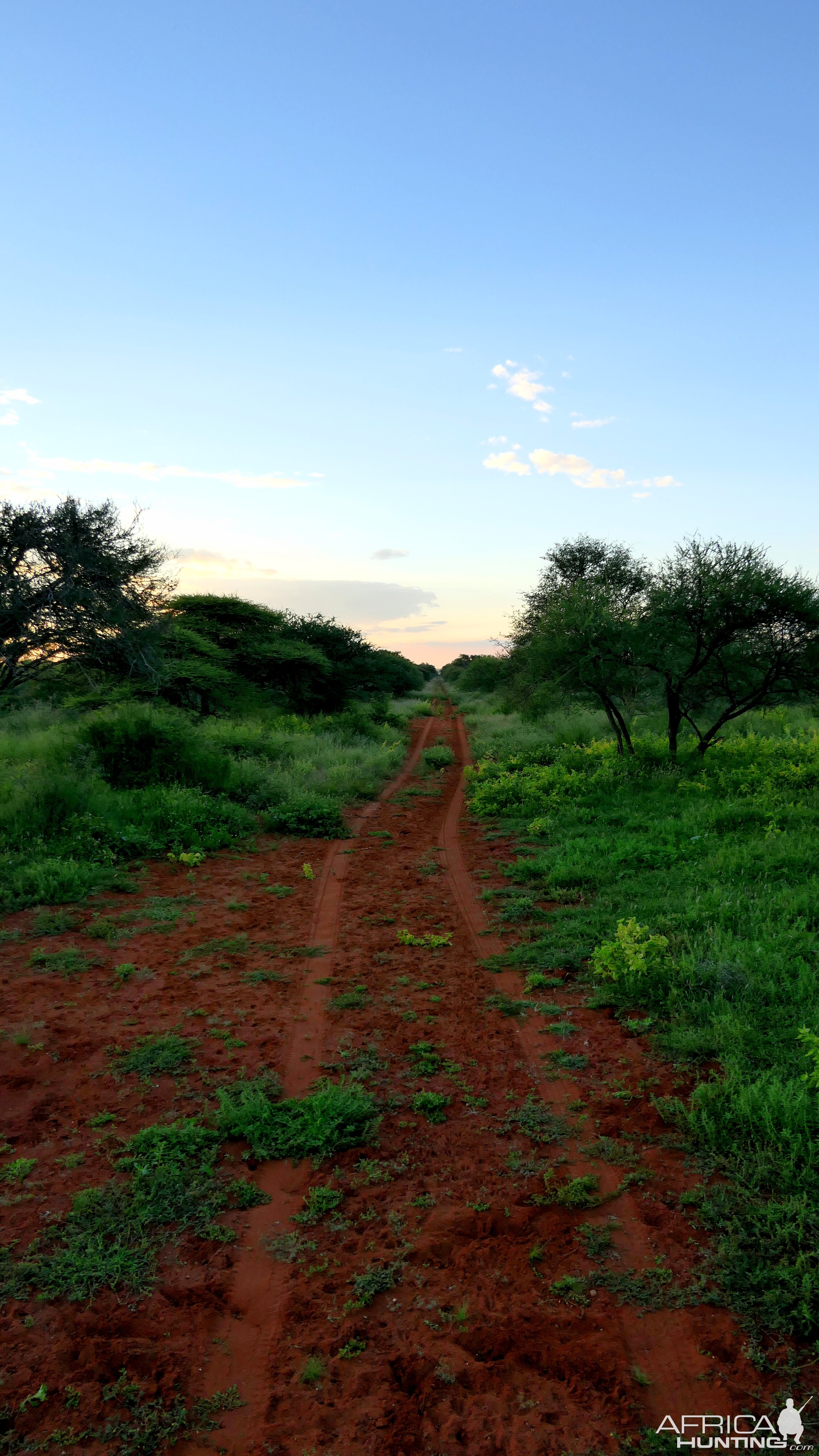 South African Nature