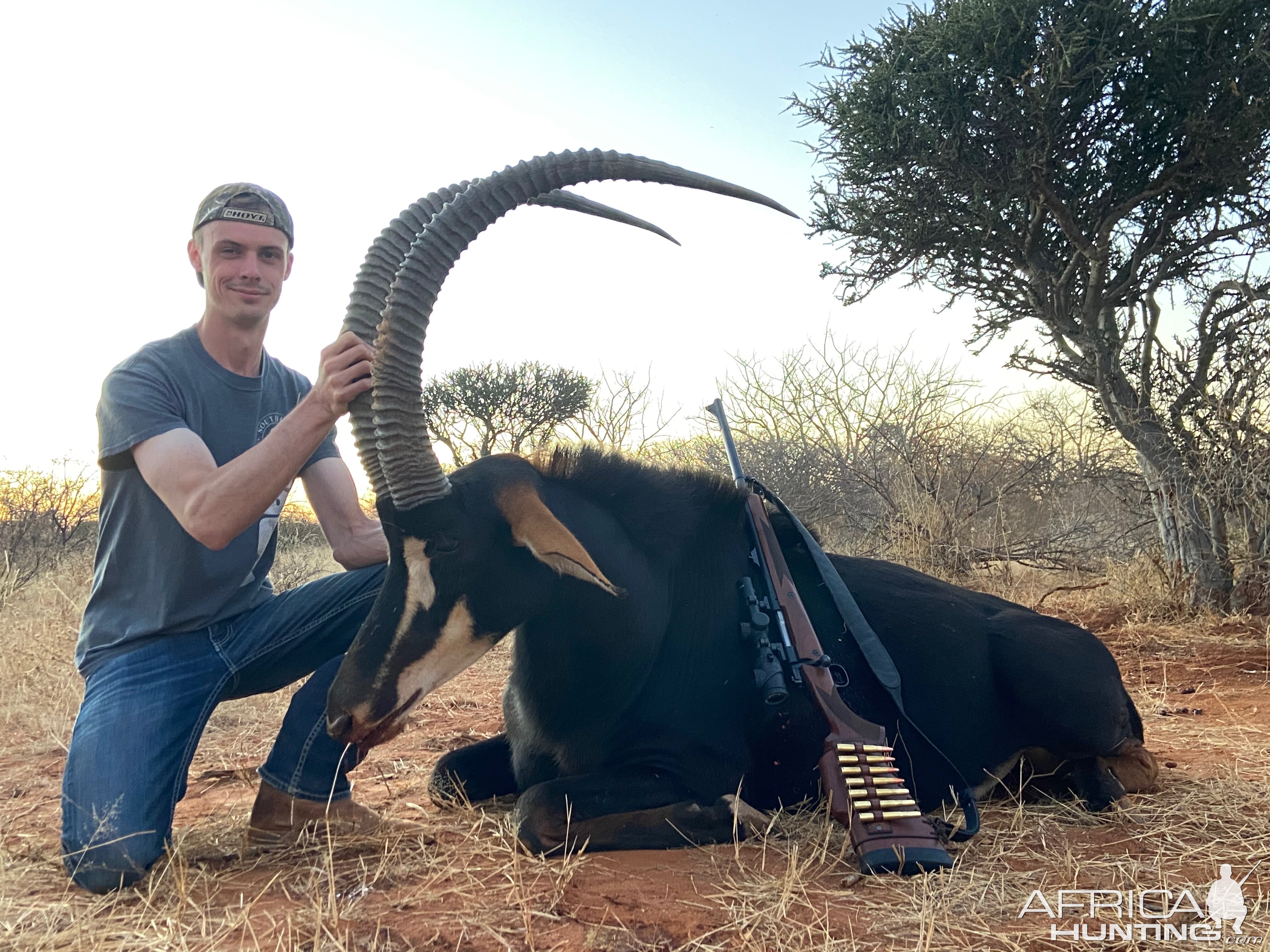 South African Sable Hunt