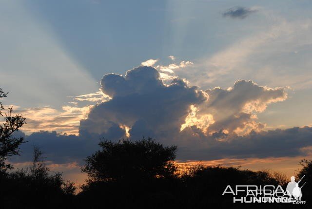 South African Sky