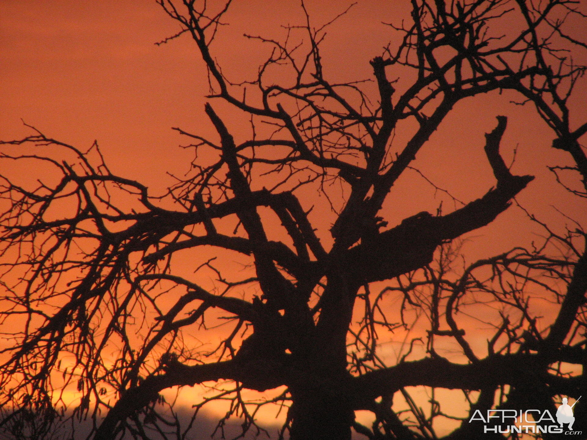 South African sky