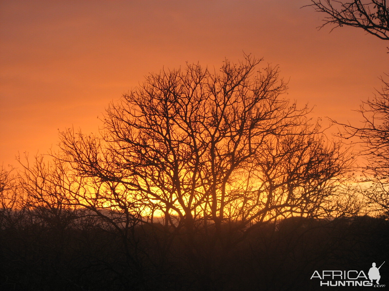 South African sky