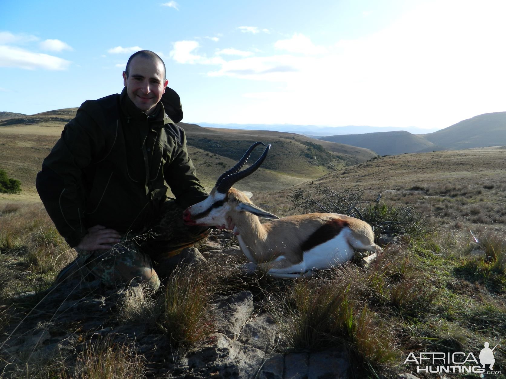 South African Springbok