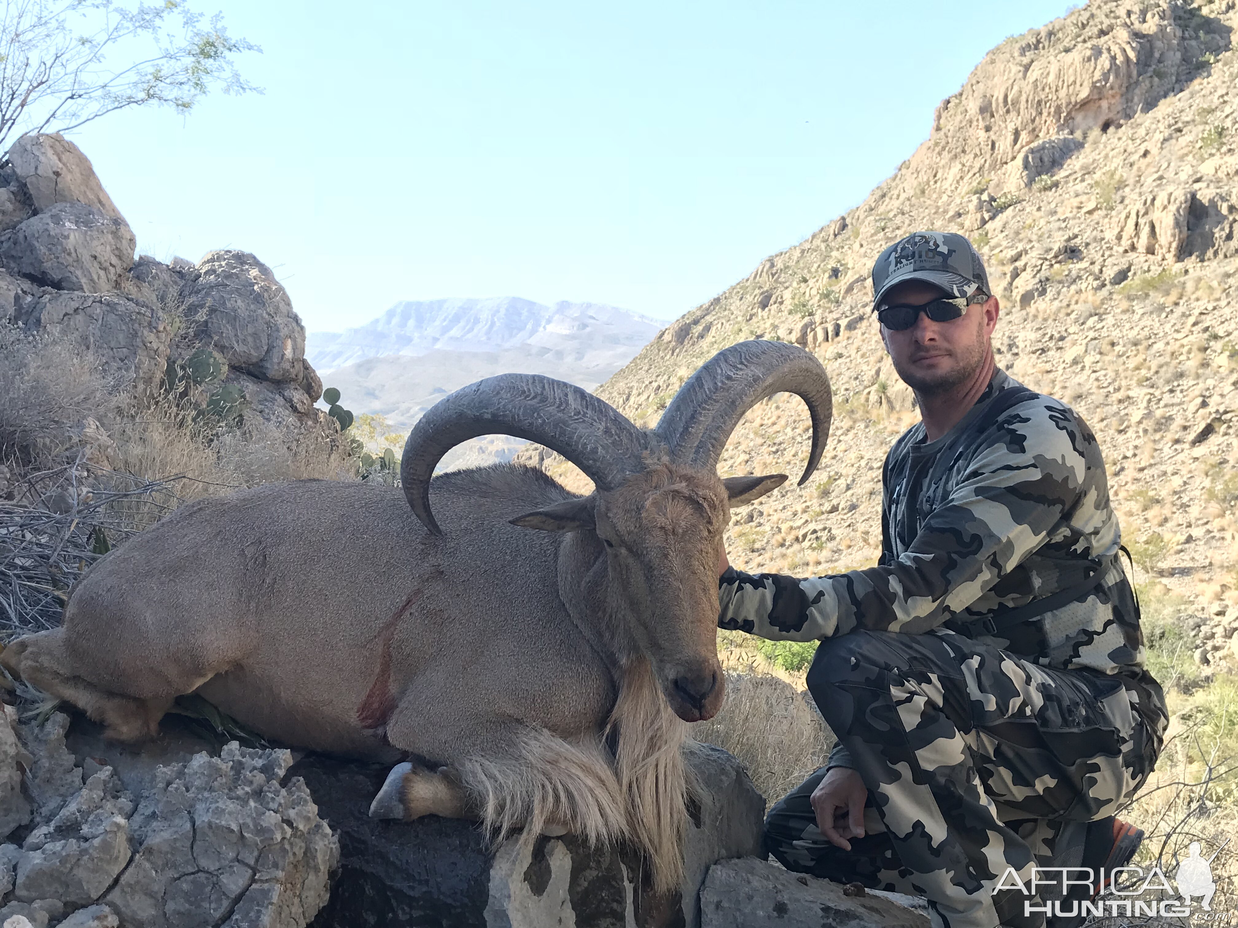 South West Texas Aoudad Hunt