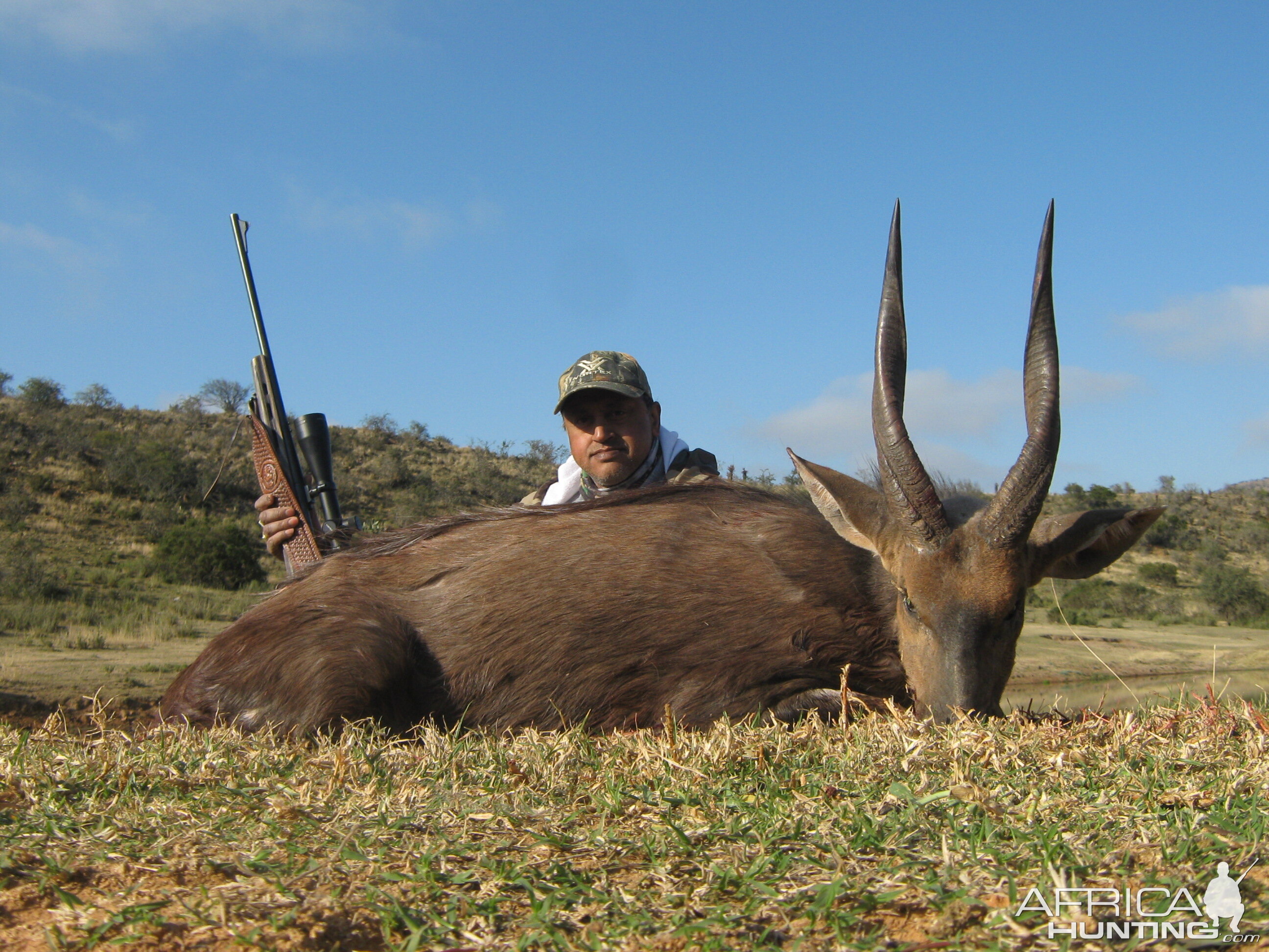 Southern bushbuck from Mankazana Valley.