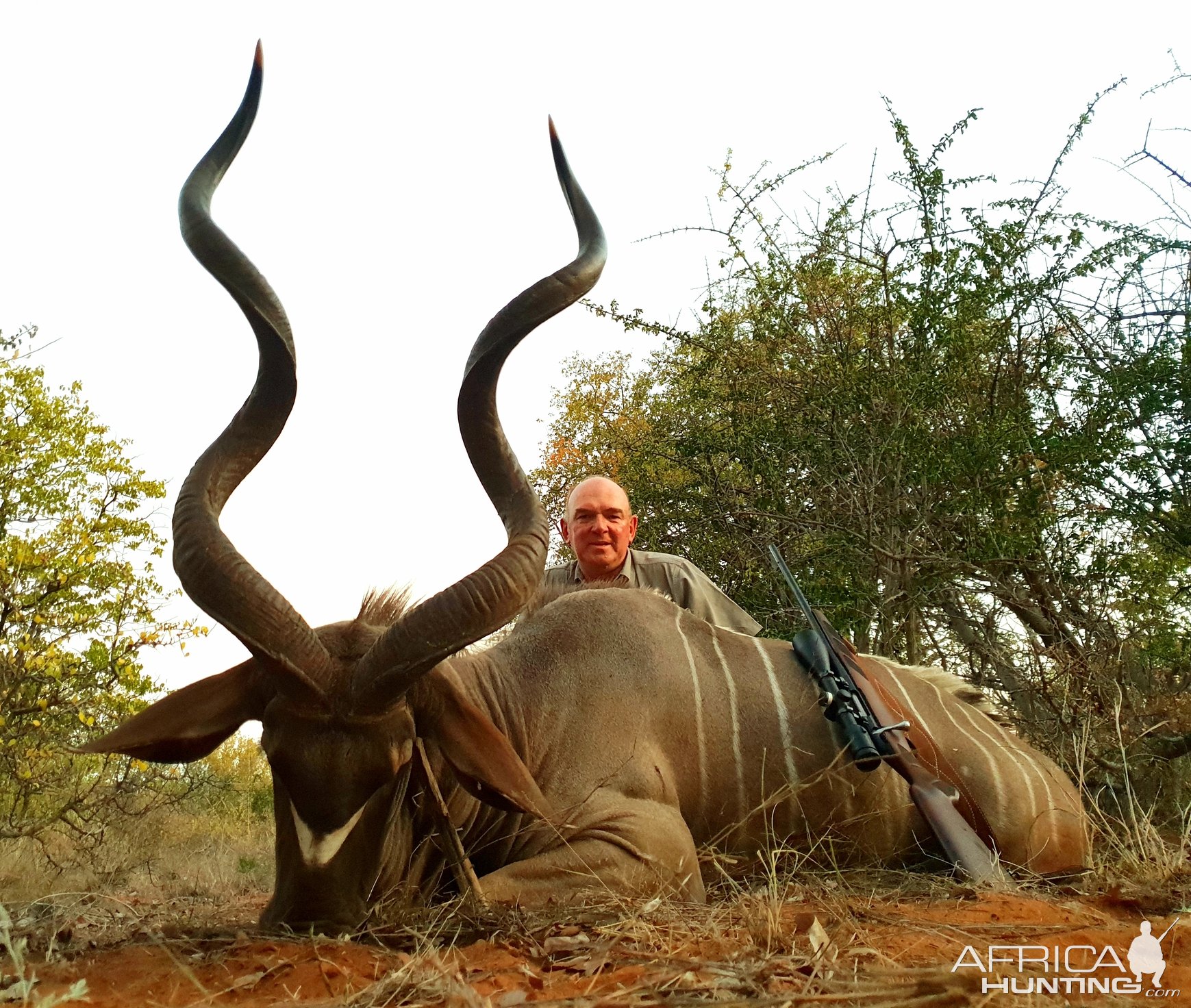 Southern Greater Kudu Hunt South Africa