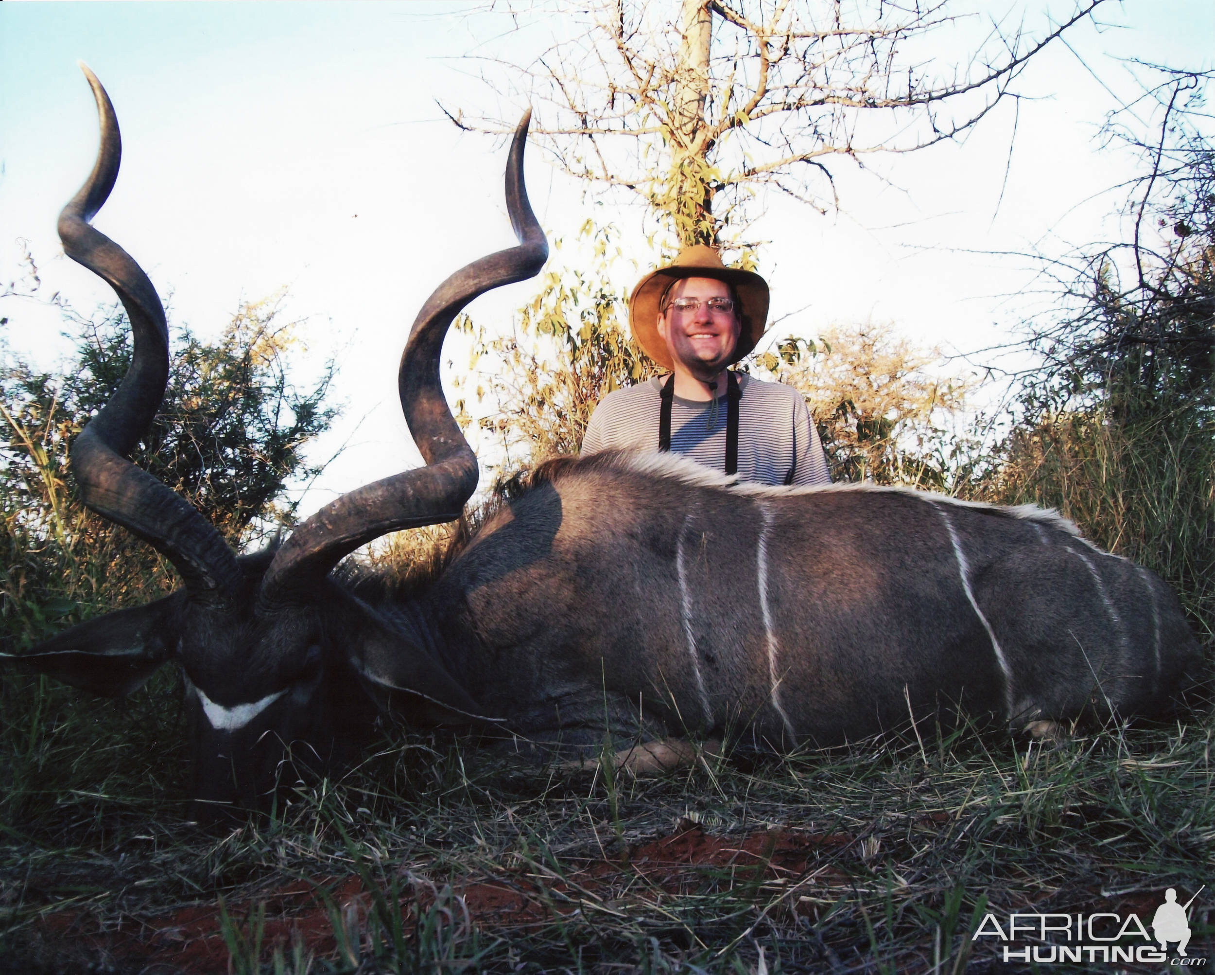 Southern Greater Kudu - Mhimbi Safari