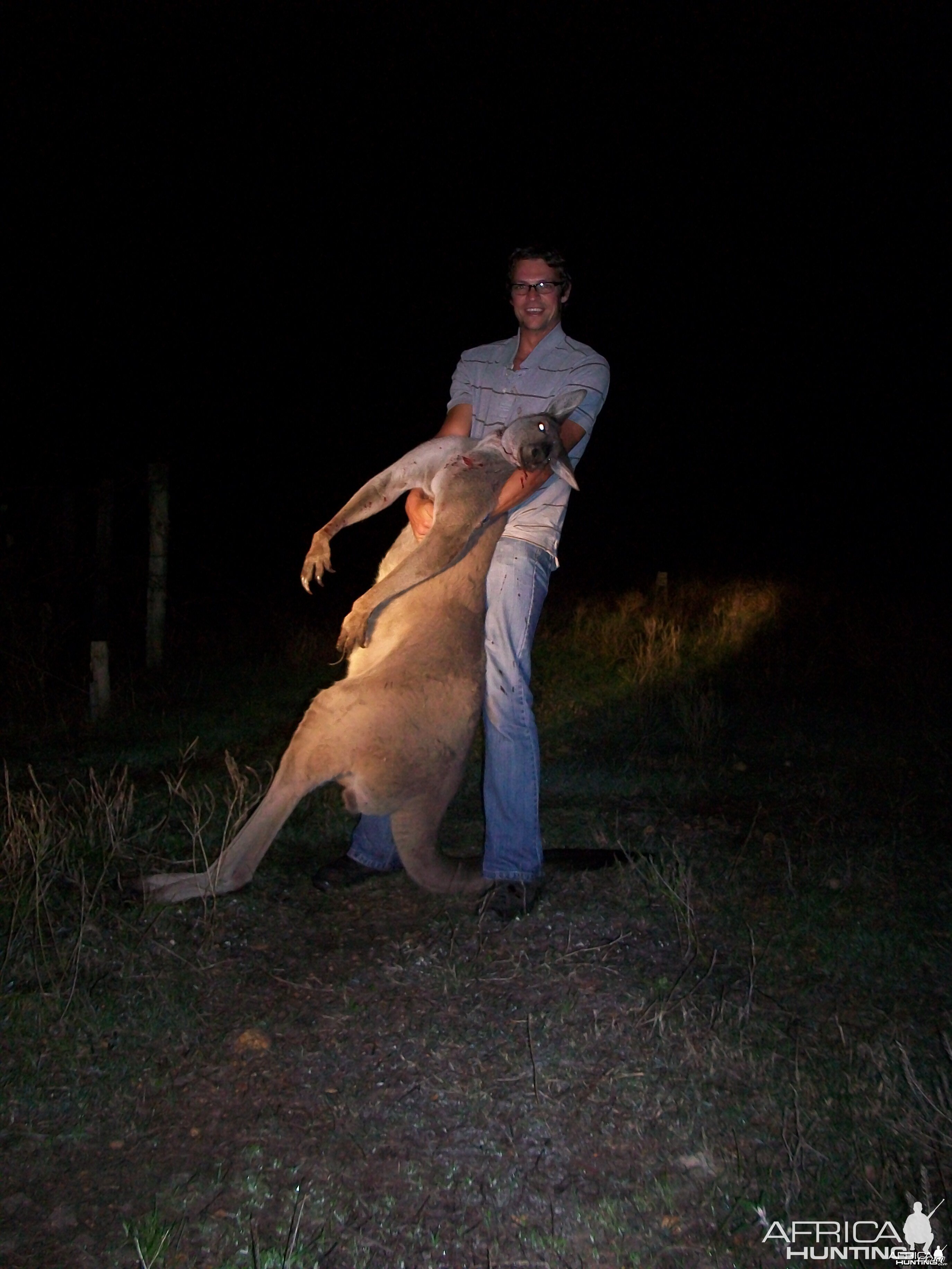 Southern Grey Boomer in Oz