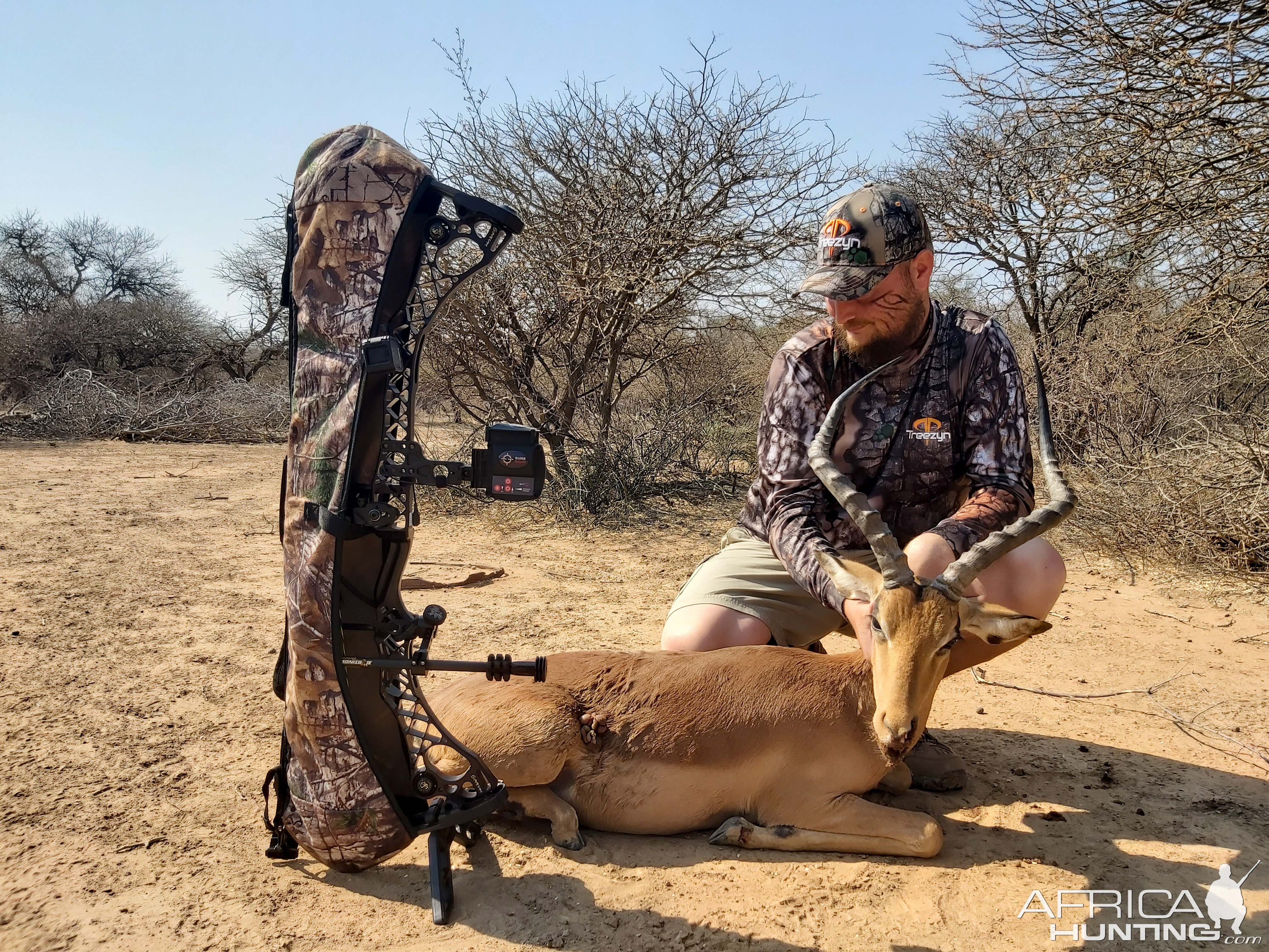 Southern Impala “Aepyceros Melampus” Bowhunting South Africa