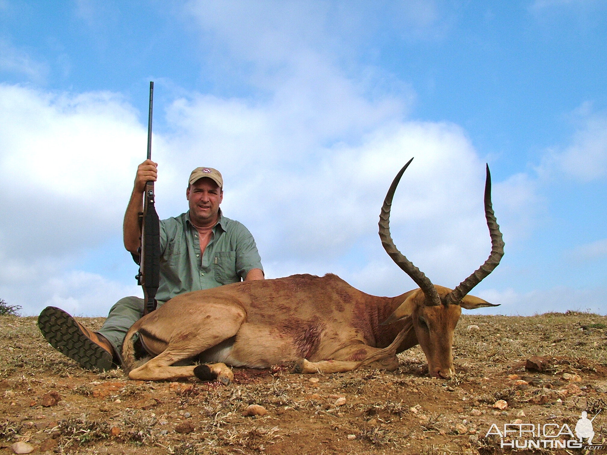 Southern Impala ~ Limpopo Valley, RSA