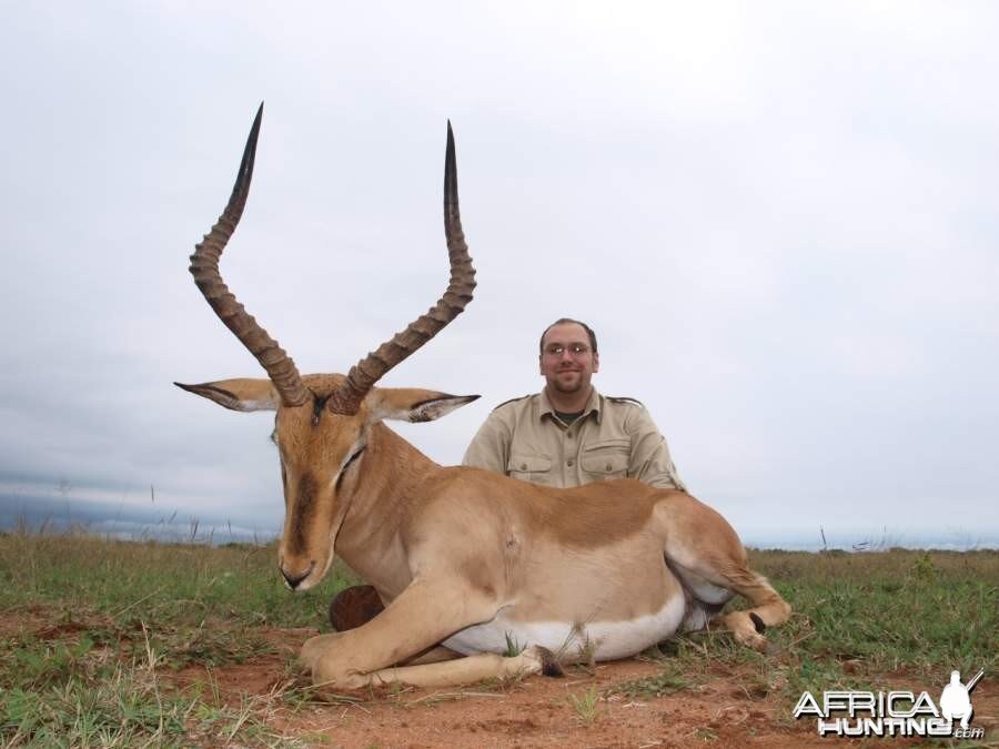 Southern Impala