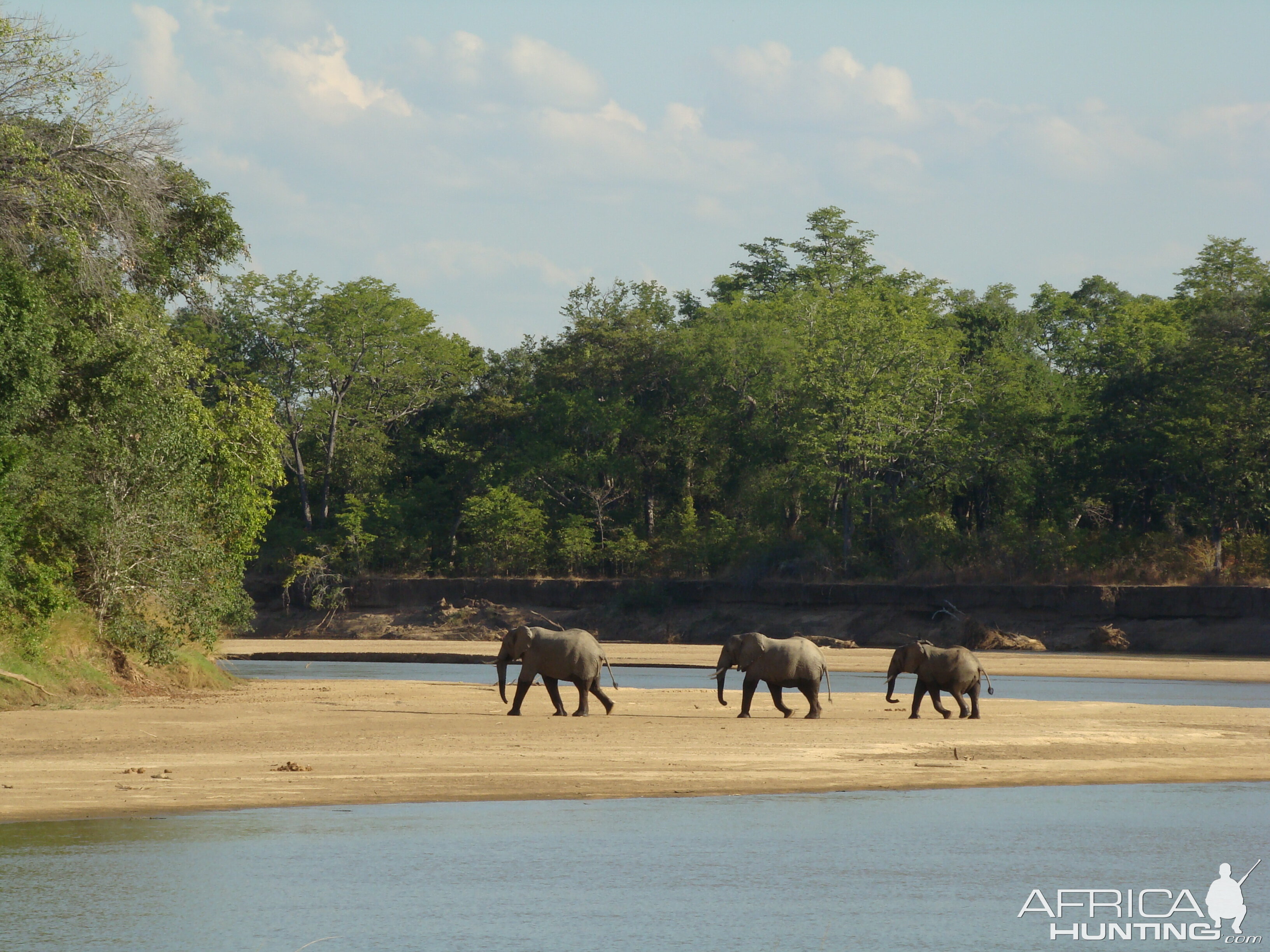 Southern Luangwa