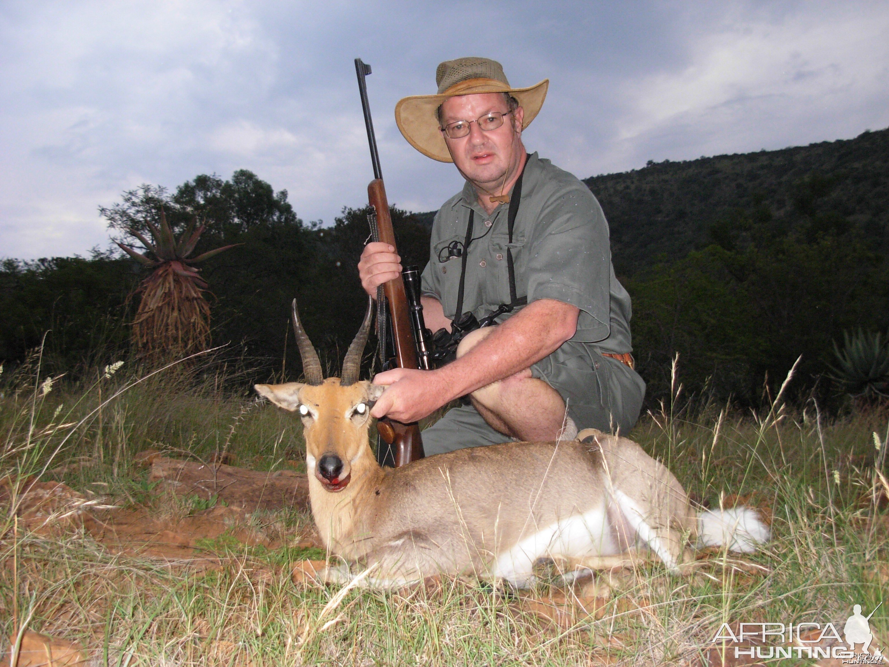 Southern Mountain Reedbuck