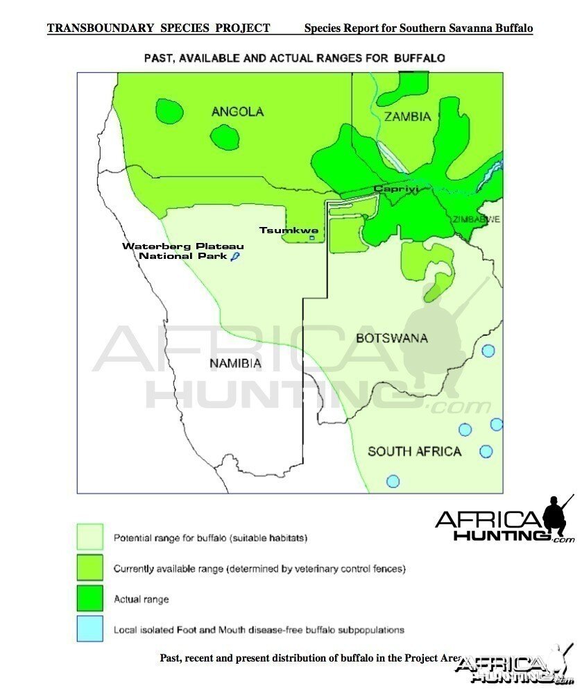 Southern Savanna Buffalo Range Map