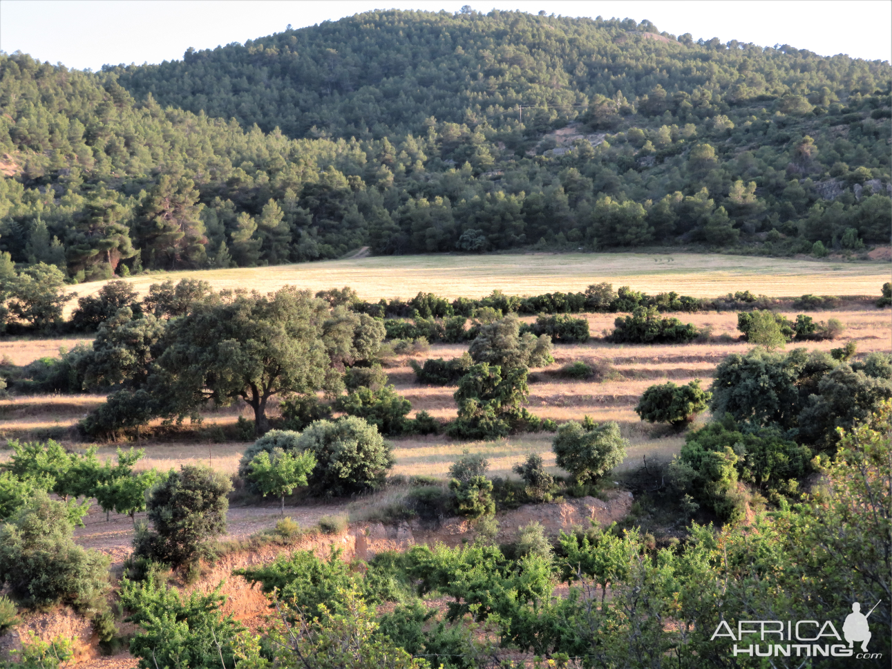 Spain Nature