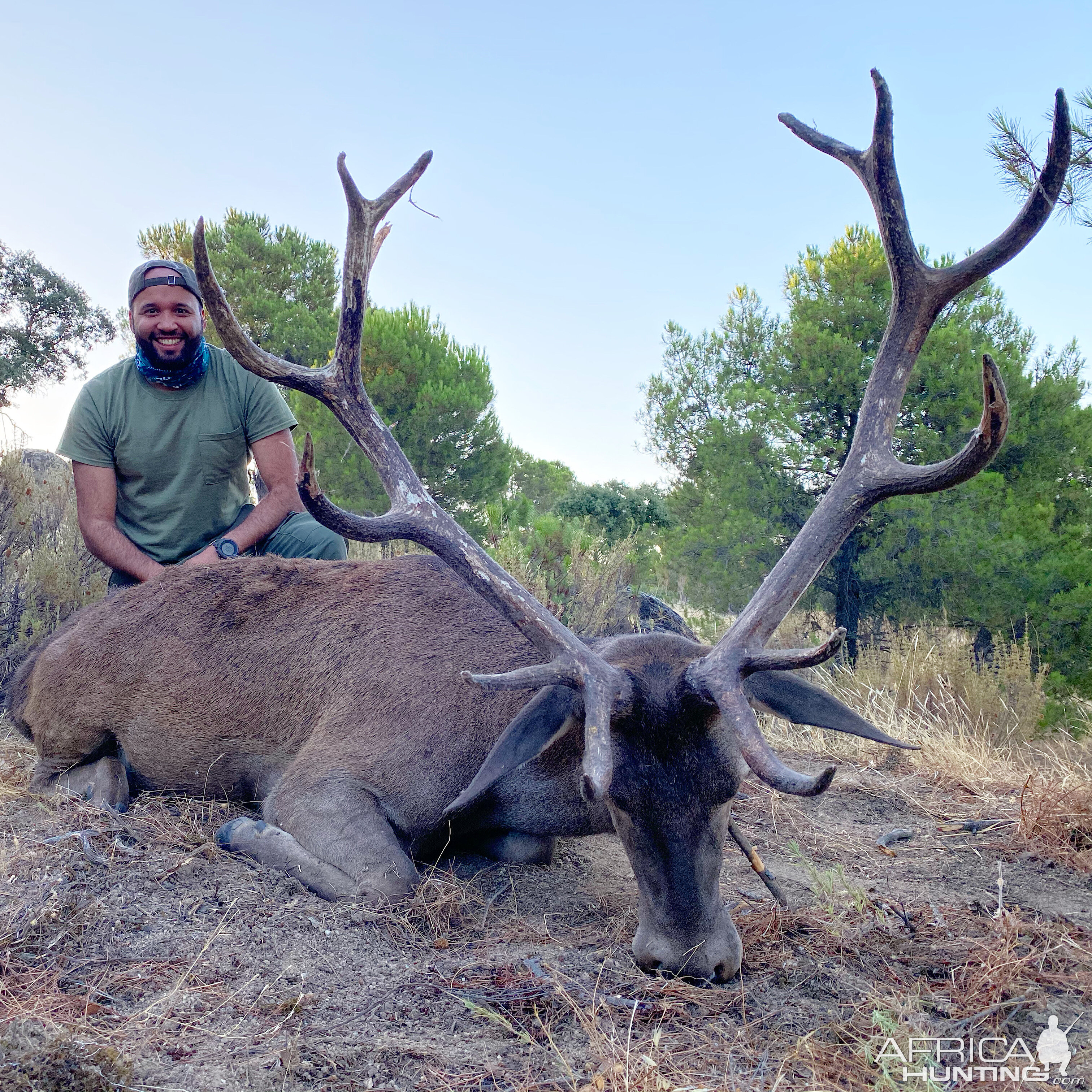 Spain Stag Hunt