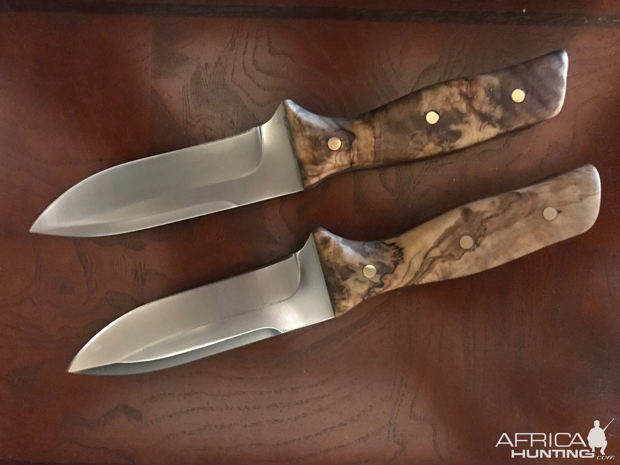 Spear Point Knives with African Wild Olive handles