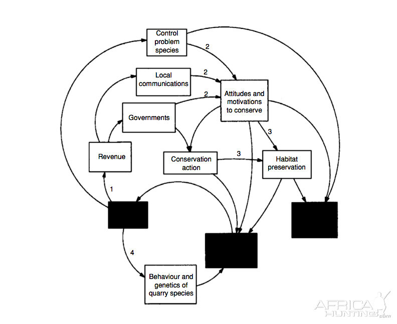 Sport Hunting, Does Sport Hunting Benefit Conservation?