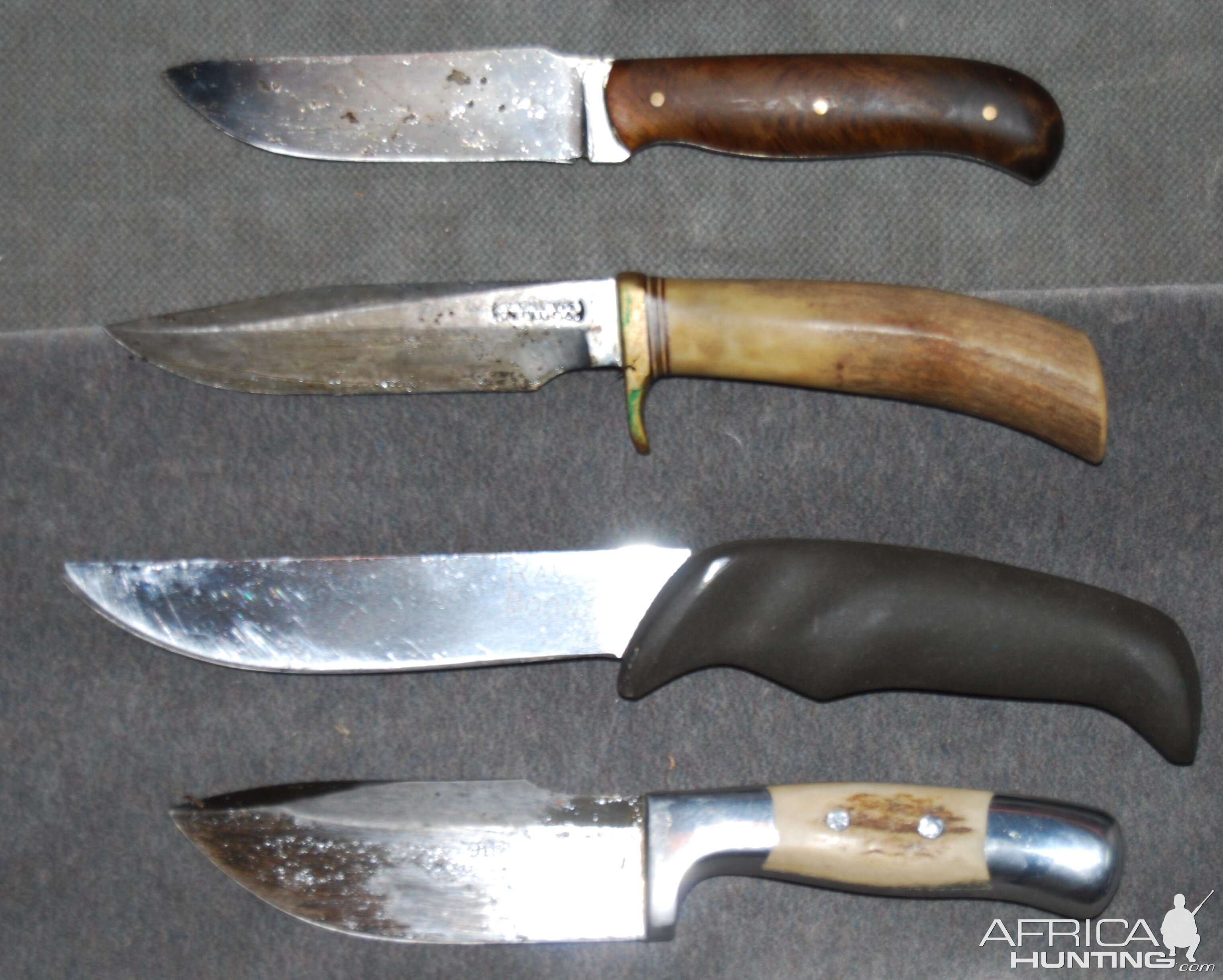 Sporting Knives