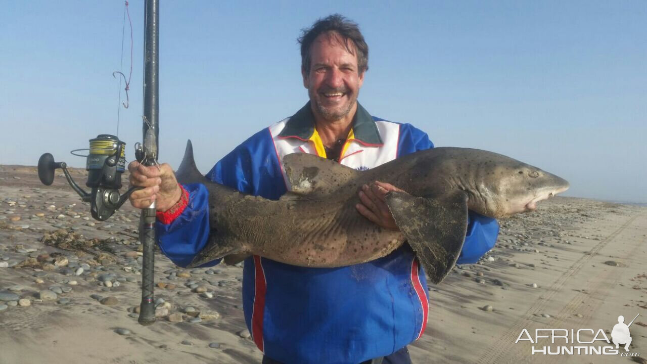 Spotted Gulley Shark Fishing Namibia