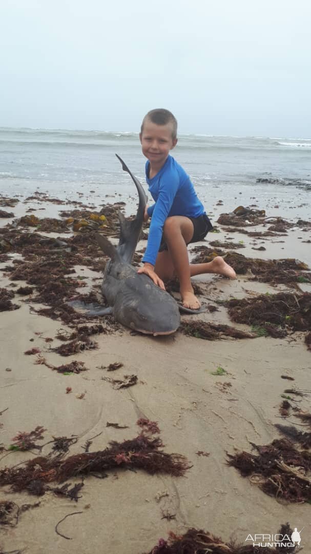 Spotted Gully Shark Fishing Namibia