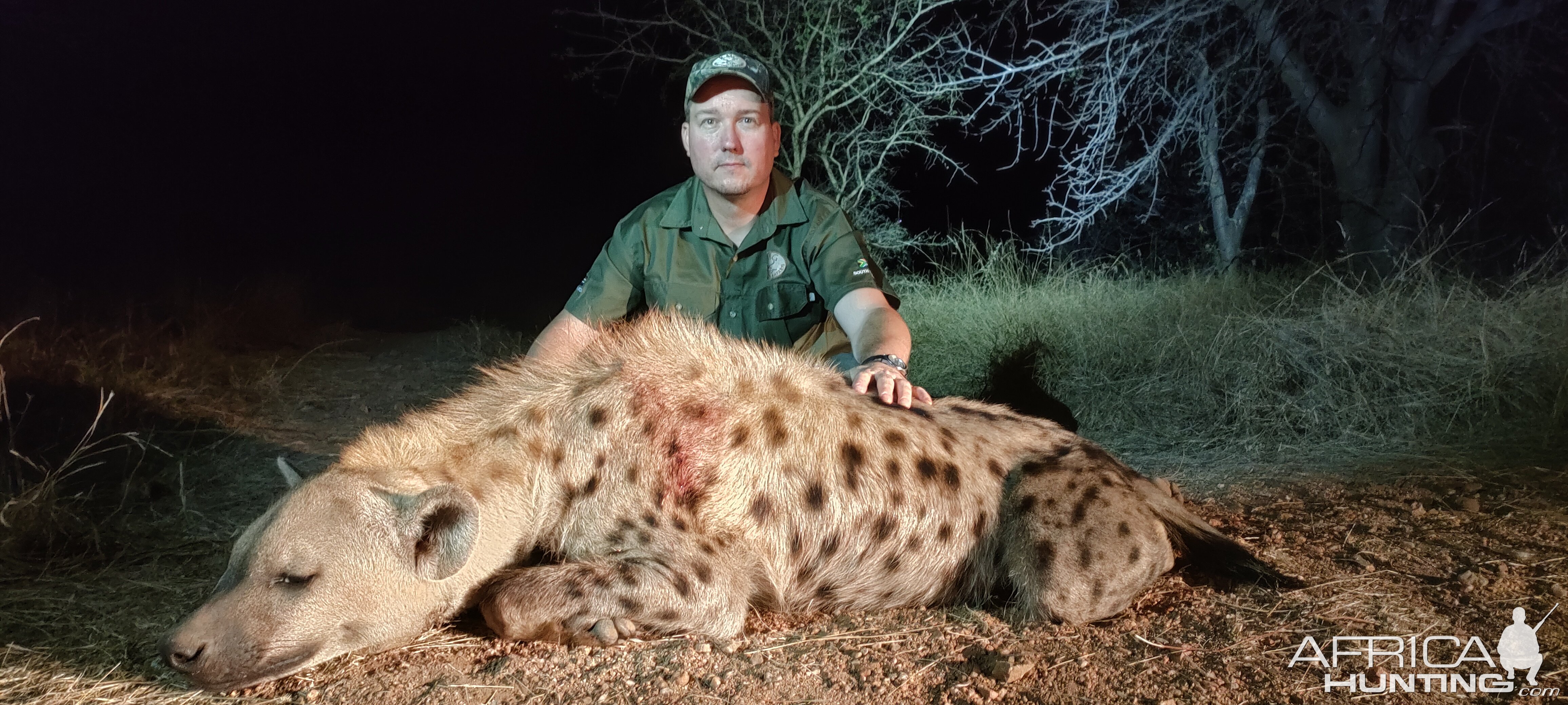 Spotted Hyena Hunt South Africa