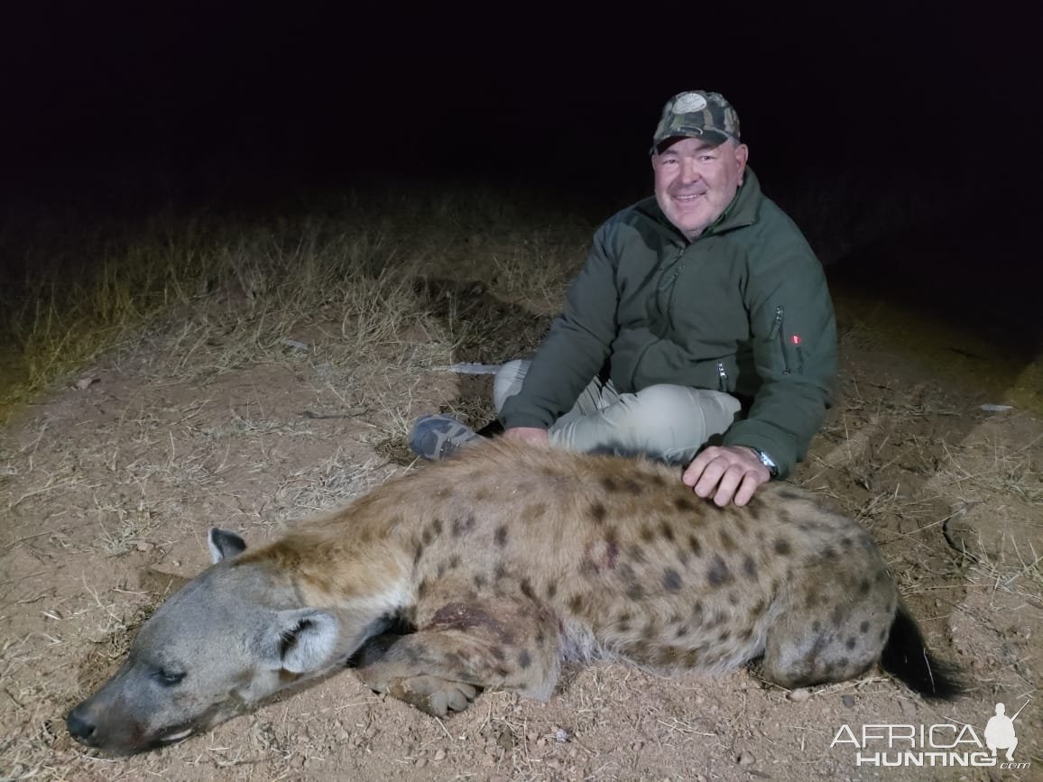 Spotted Hyena Hunt South Africa