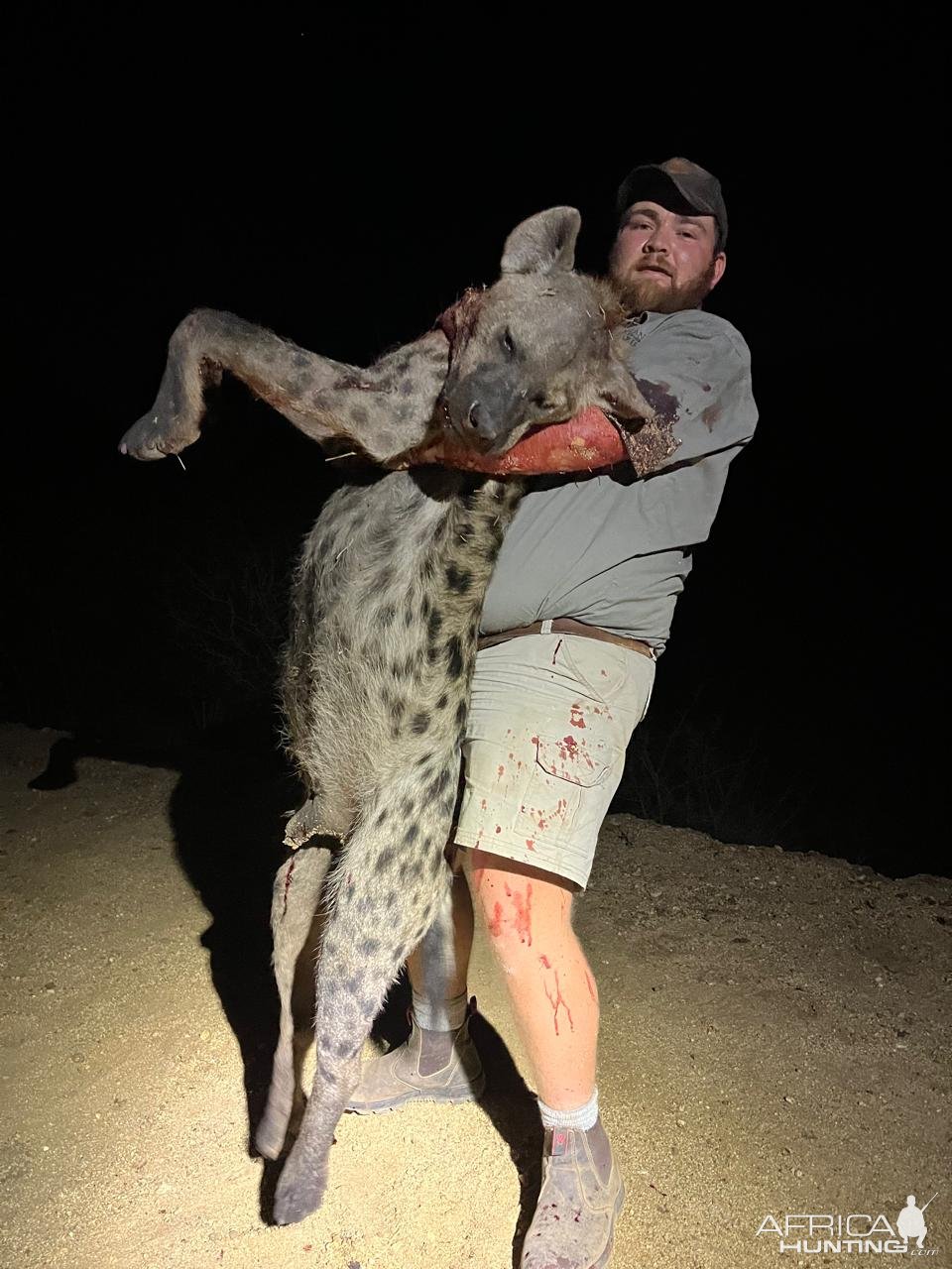 Spotted Hyena Hunt South Africa