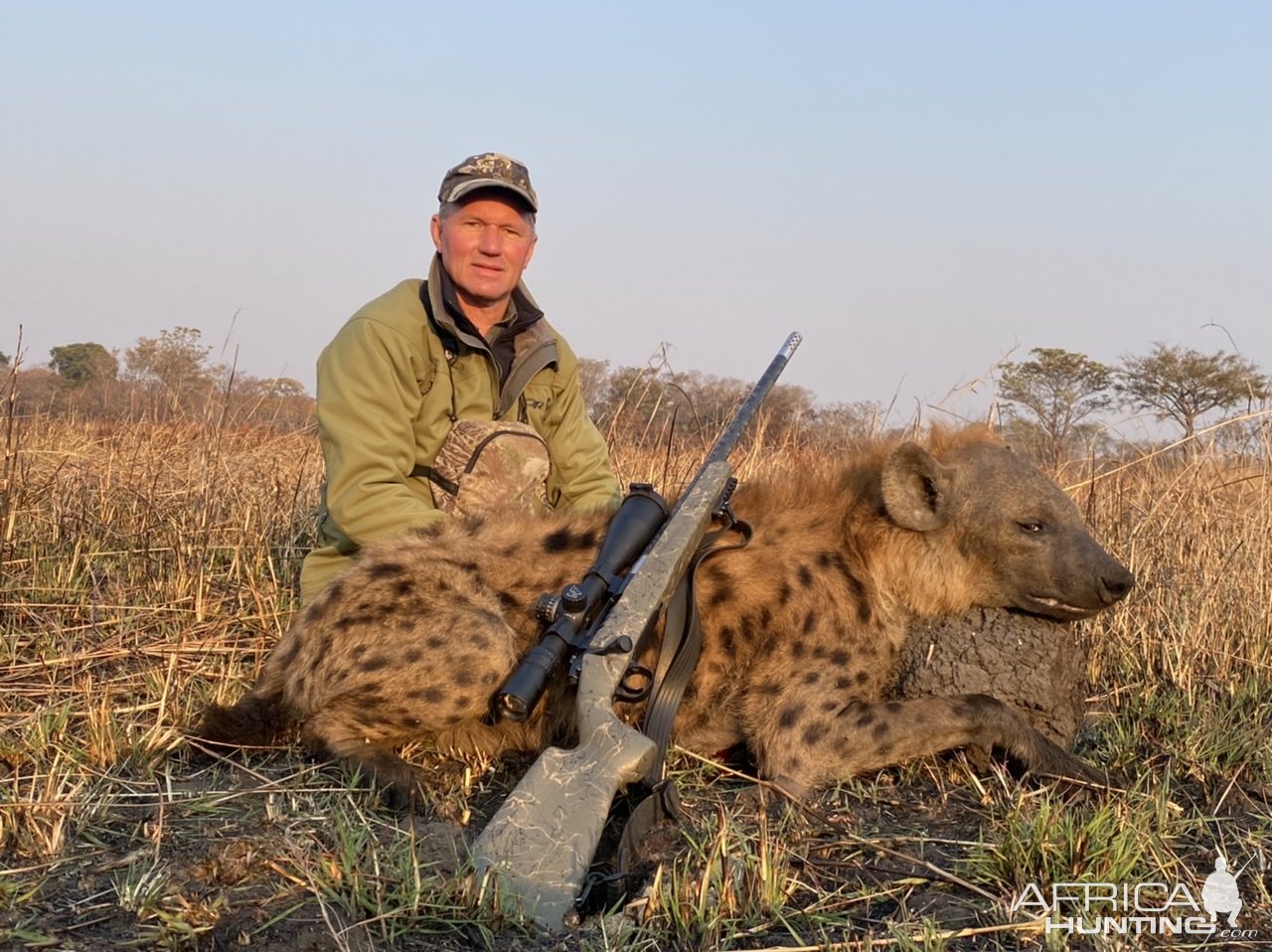 Spotted Hyena Hunt Zambia