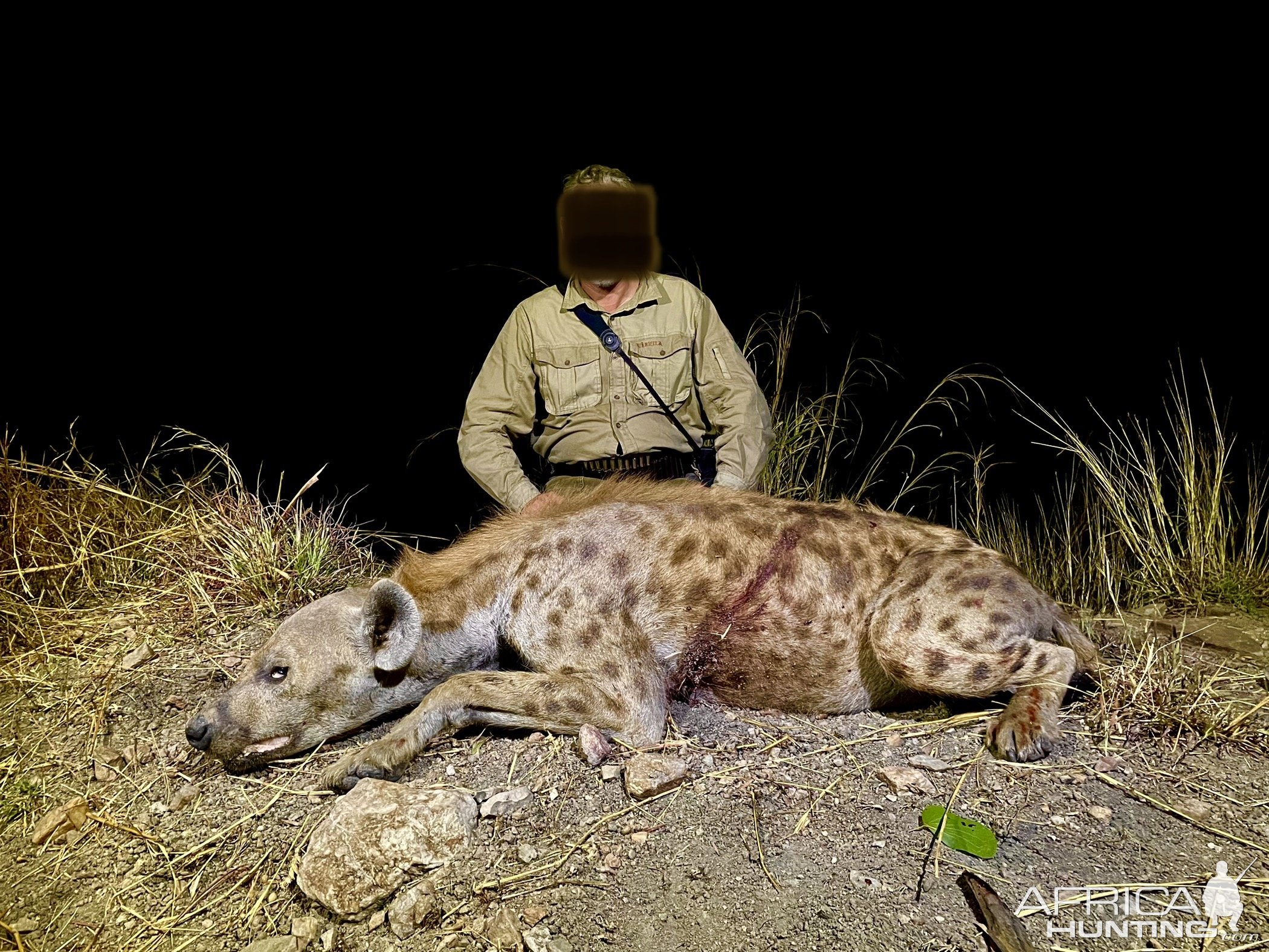 Spotted Hyena Hunt Zambia