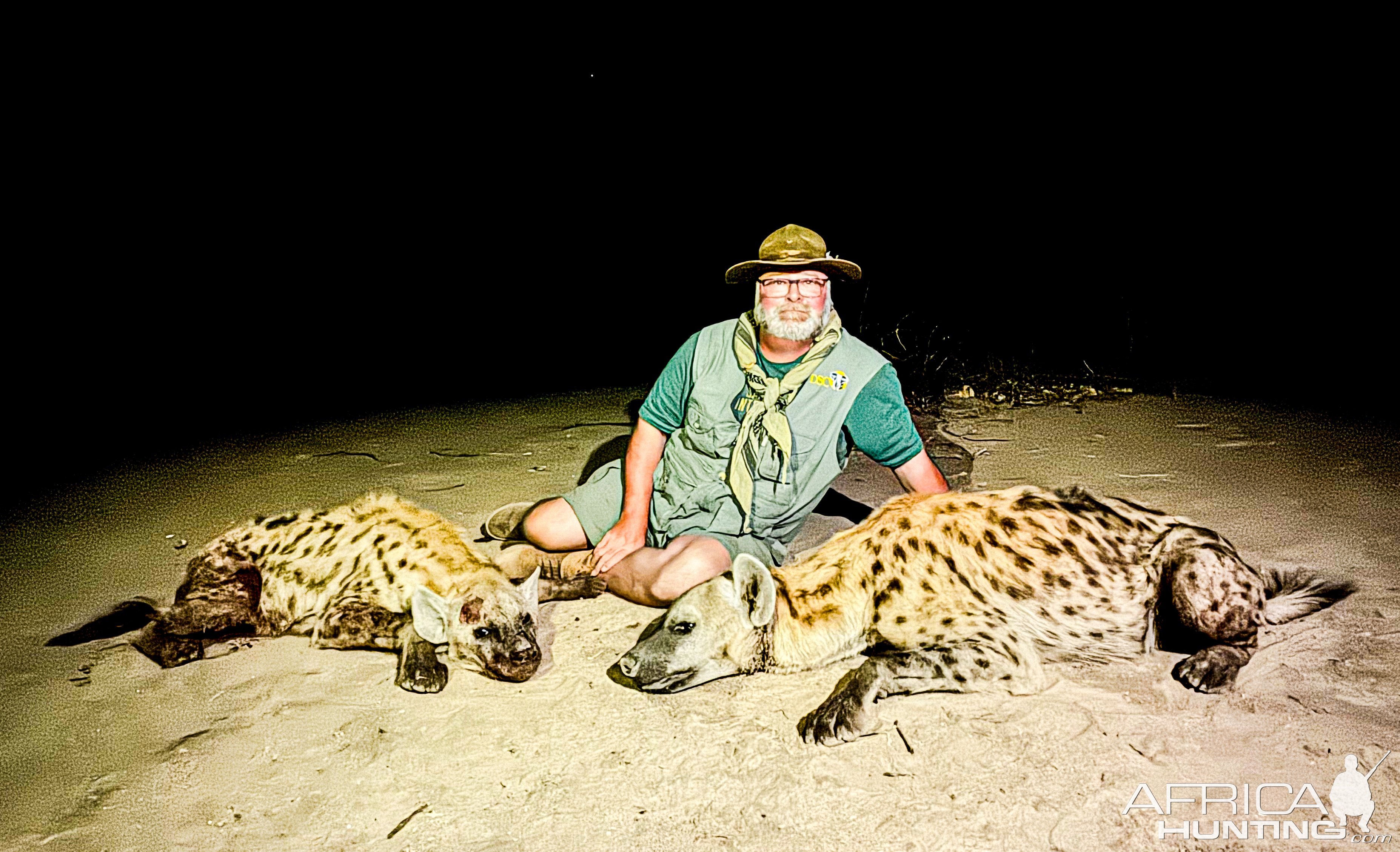 Spotted Hyena Hunt Zimbabwe