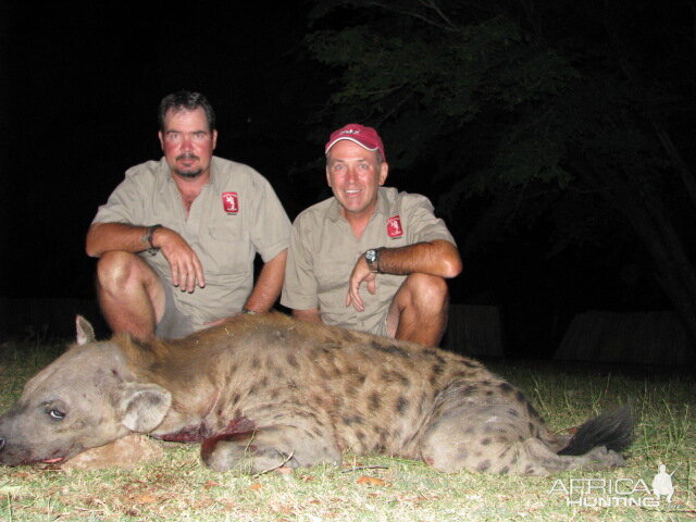 Spotted Hyena Hunt Zimbabwe