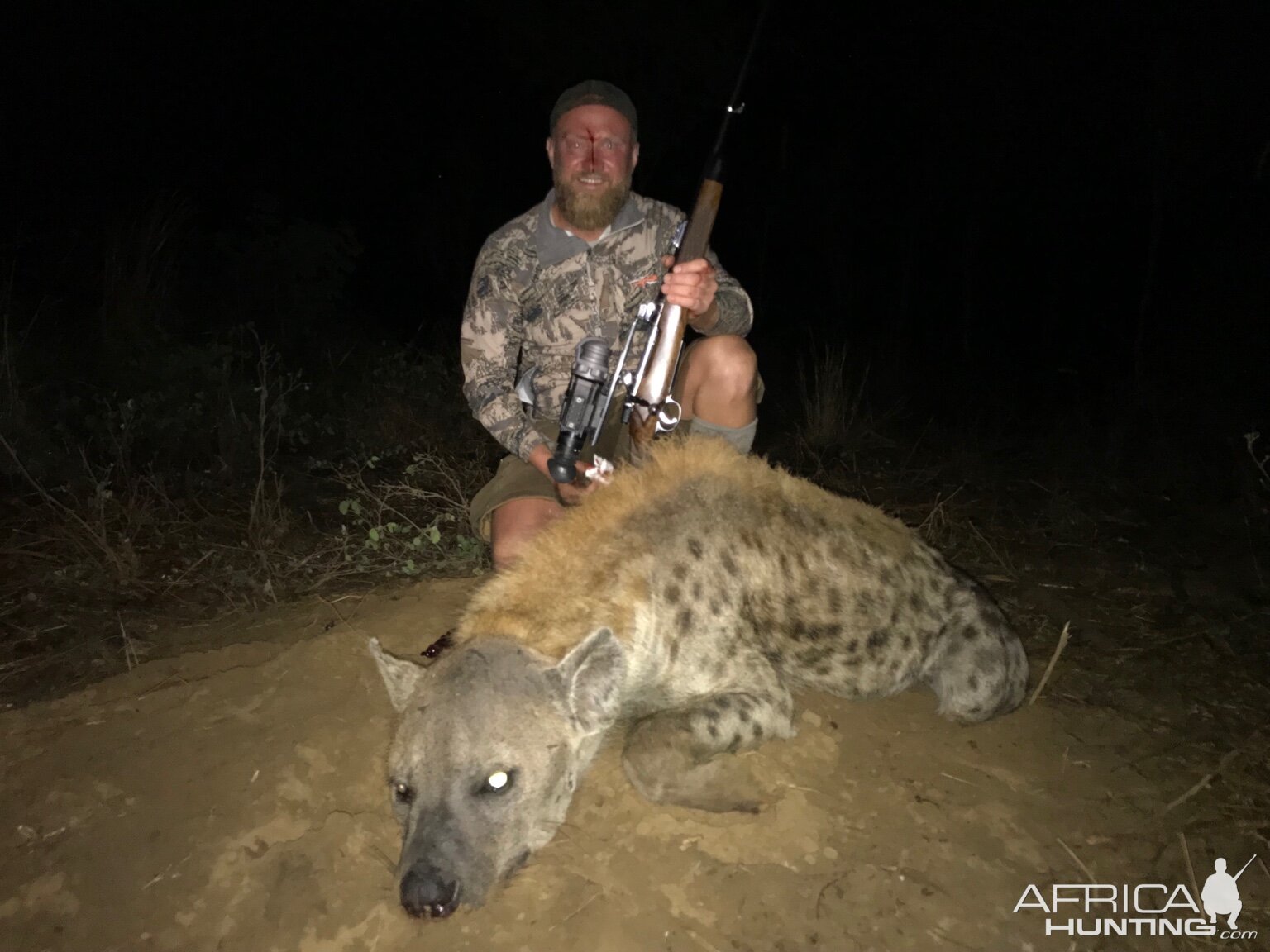 Spotted Hyena Hunt Zimbabwe