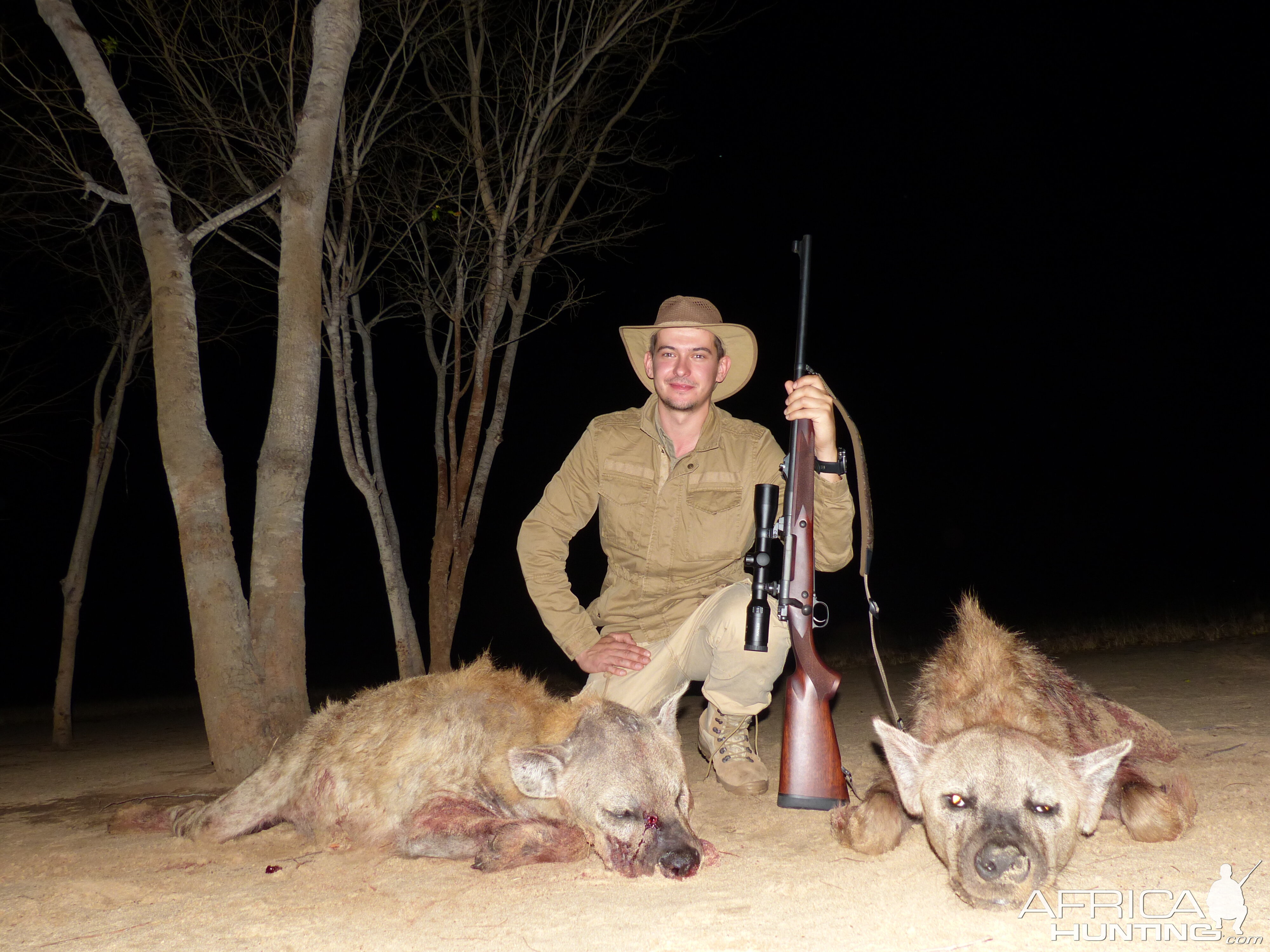 Spotted Hyena Hunt Zimbabwe